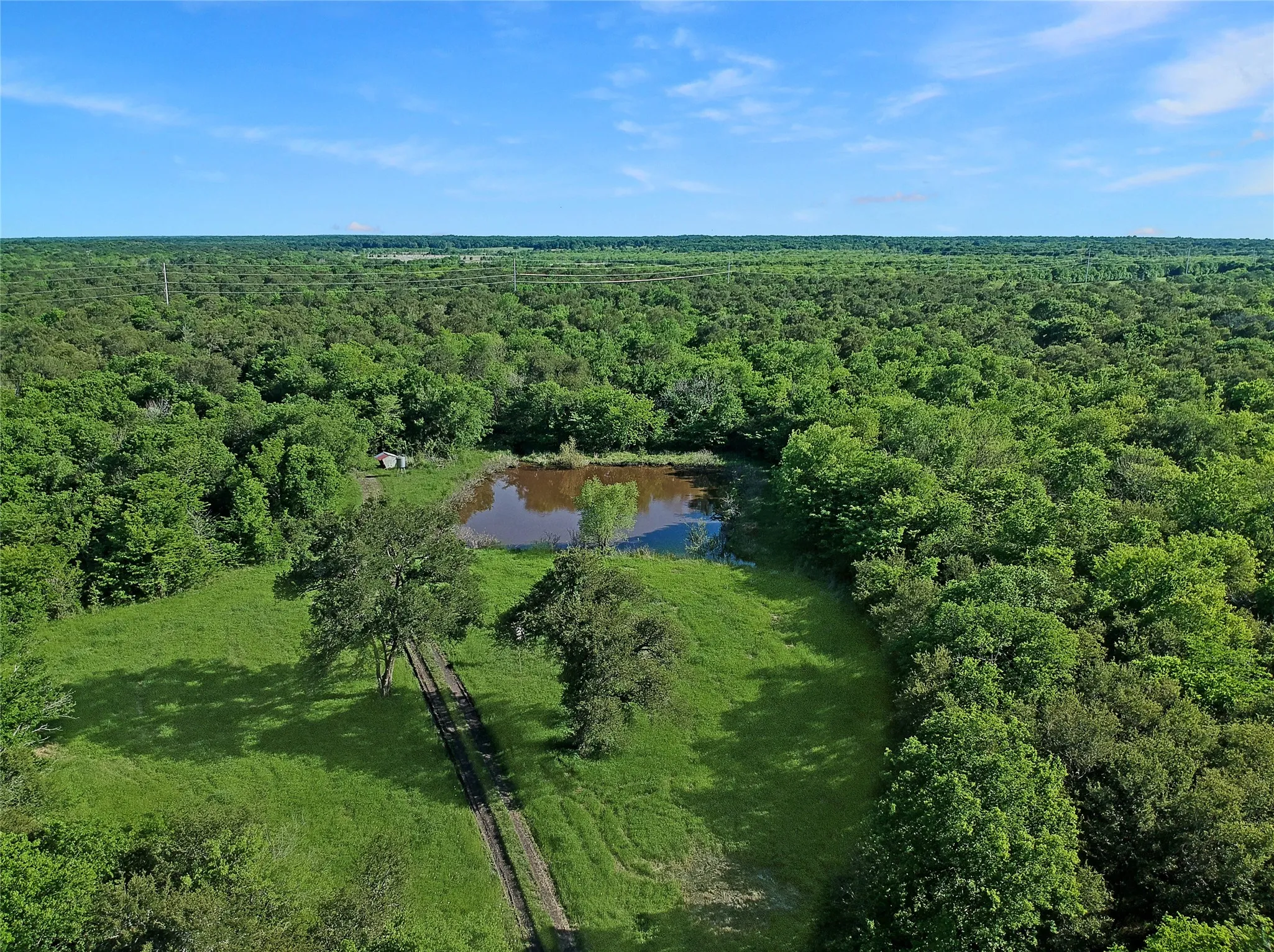Expansive acreage featuring a natural pond, lush green fields, mature trees, and dense surrounding woodlands