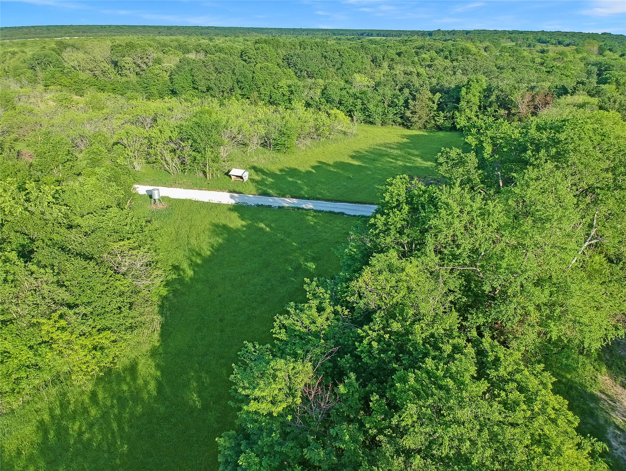 Expansive natural landscape featuring lush green trees and an open grassy area