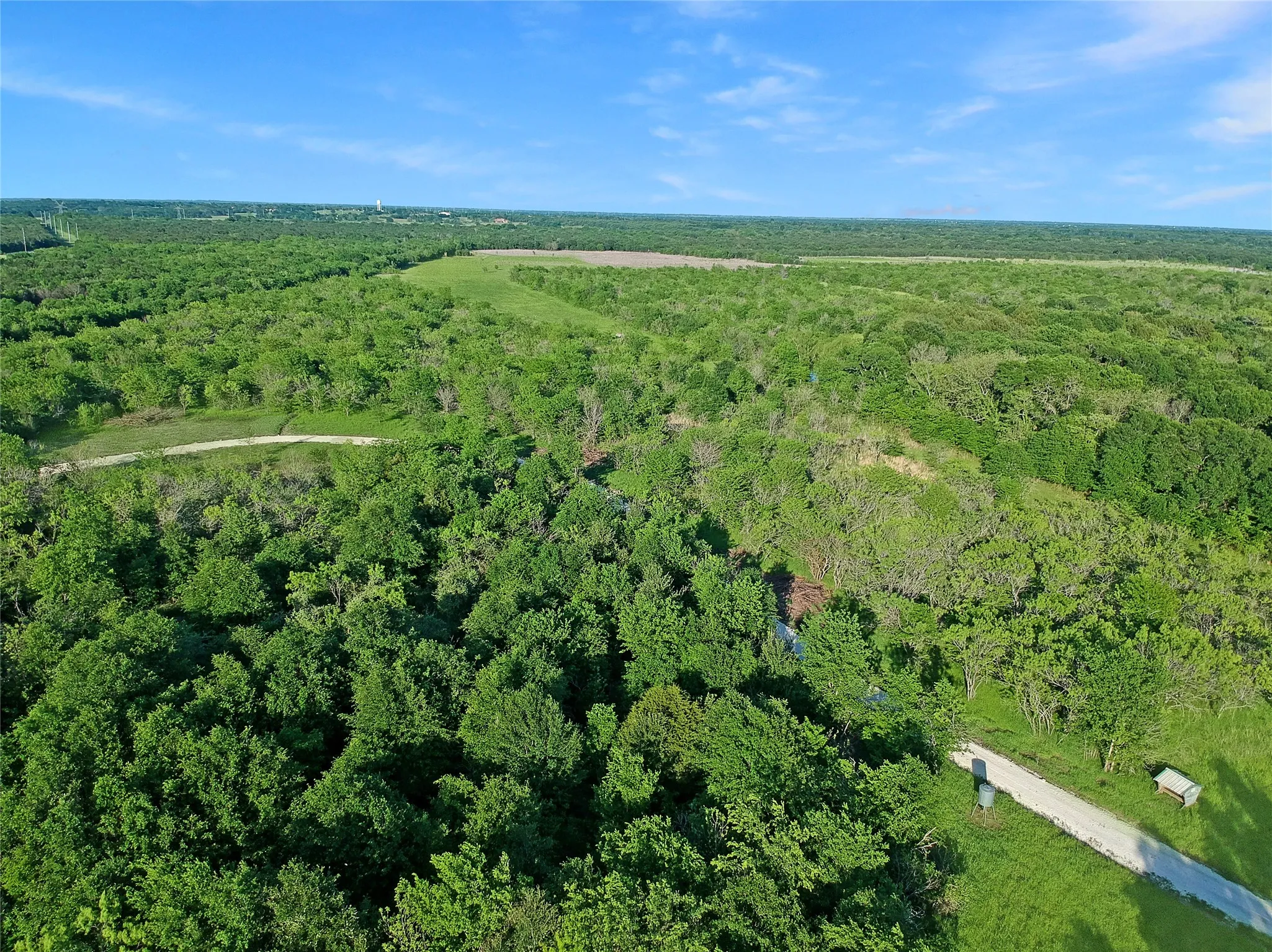 Expansive wooded acreage featuring diverse tree coverage and open clearings