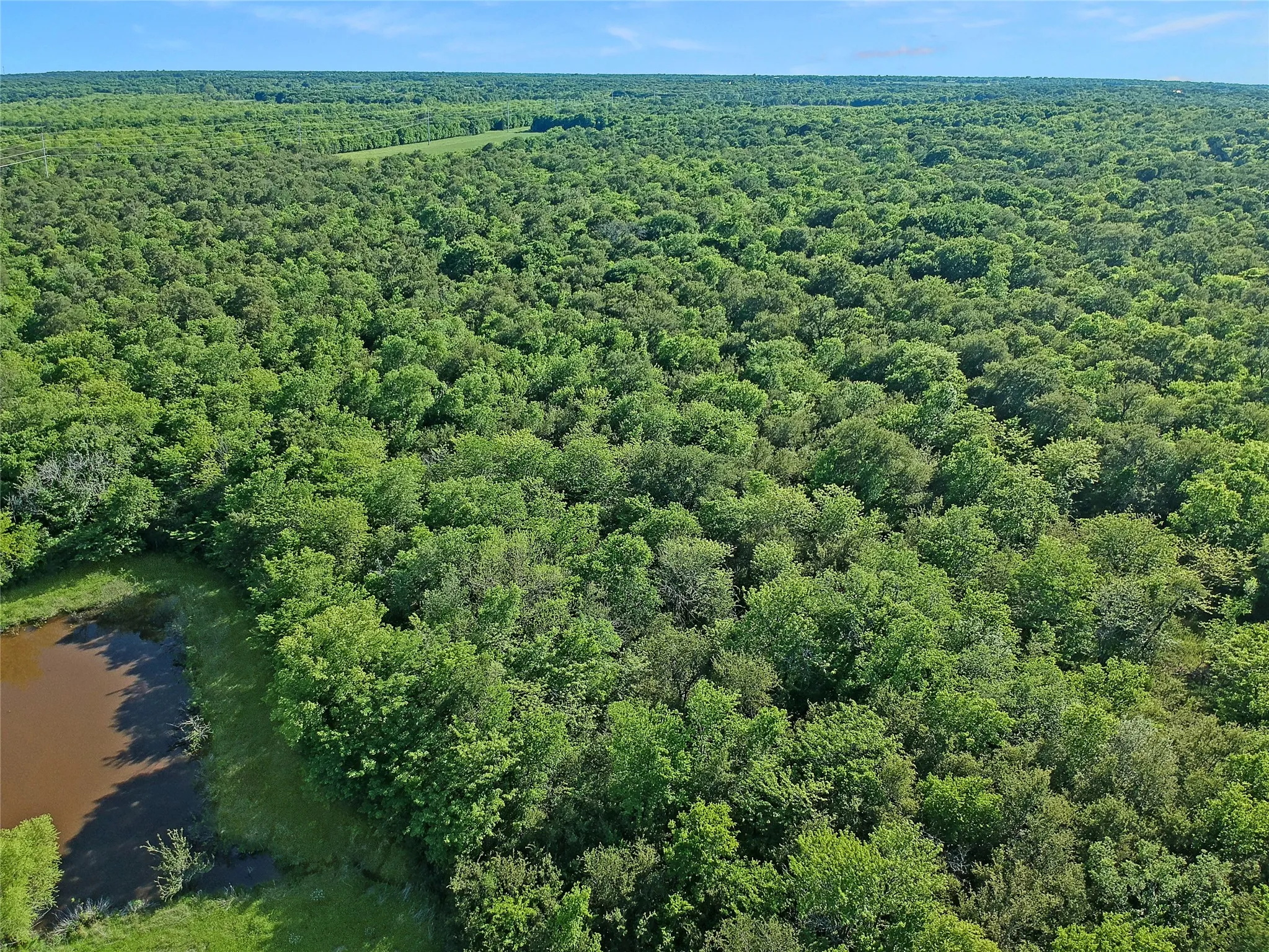 Expansive acreage featuring dense tree coverage and a natural pond