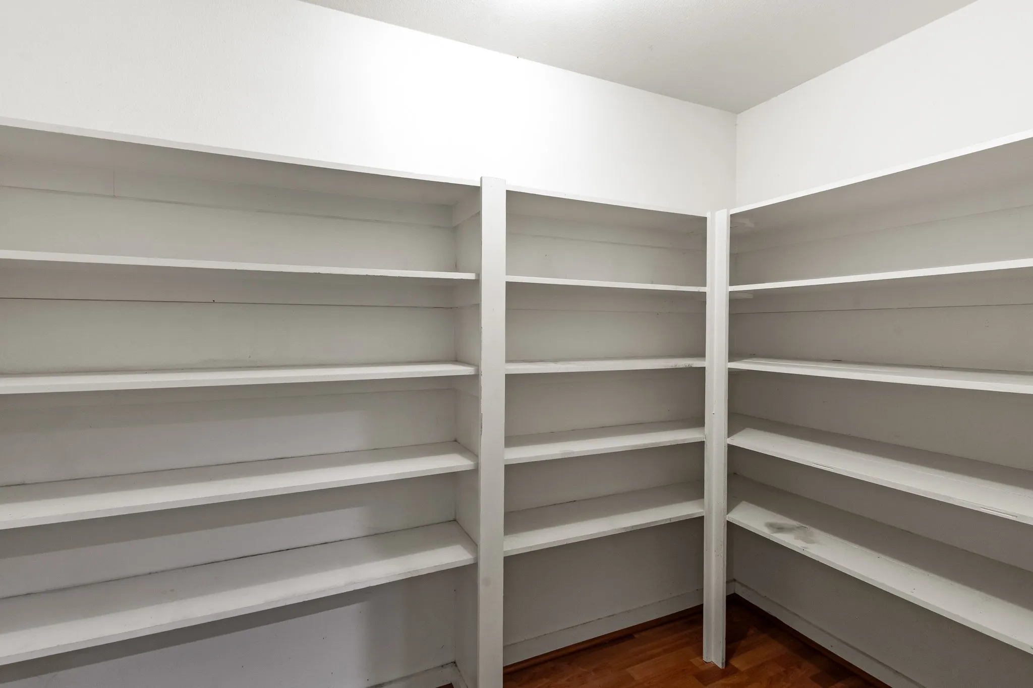 Large Pantry with generous shelving.