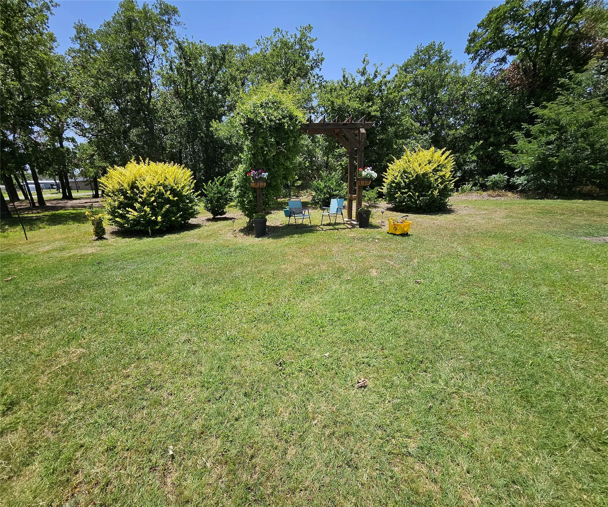 Expansive green lawn featuring a wooden pergola with climbing foliage, bordered by mature trees and varied shrubbery