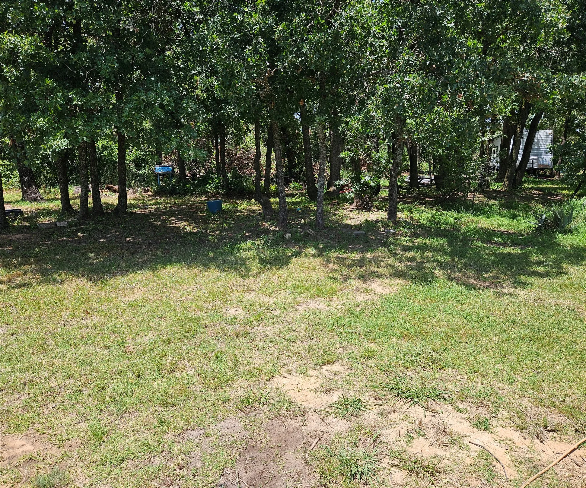 Expansive natural landscape featuring a mix of mature trees and open grassy areas