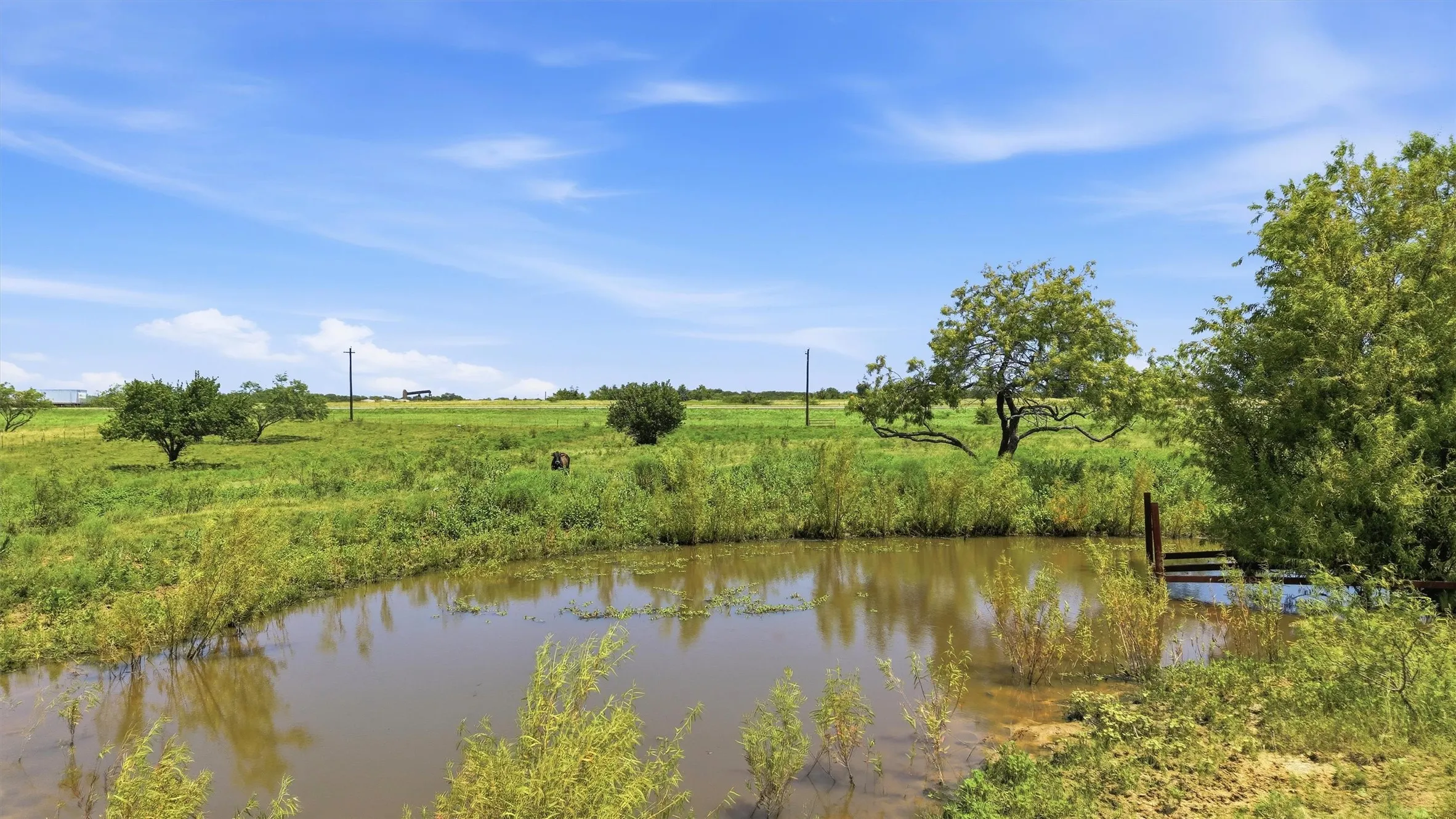 Unimproved Land For Sale in Grayson County , TBD HWY 82, Sherman, Texas 75092, 0, 0, Garage spaces, 0 Sqft, built in 0, mls#21320172, Real Estate Agent in Sherman, Homes For Sale in Grayson county, Homes For Sale in Sherman, Realtor in Sherman Texas, Real Estate Brokerage Independent Realty Texas, Luminita Cordes Realtor