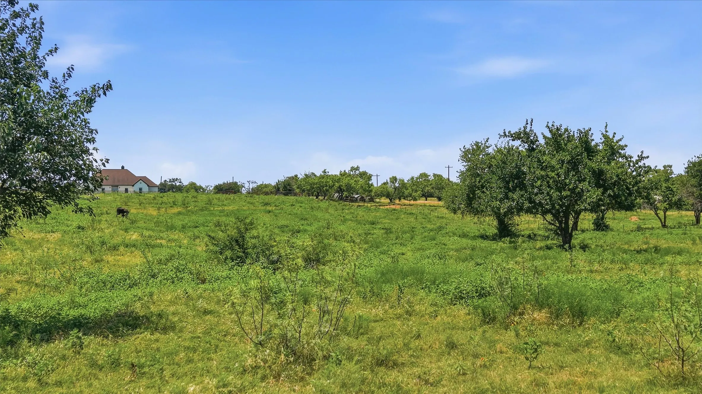 Unimproved Land For Sale in Grayson County , TBD HWY 82, Sherman, Texas 75092, 0, 0, Garage spaces, 0 Sqft, built in 0, mls#21320172, Real Estate Agent in Sherman, Homes For Sale in Grayson county, Homes For Sale in Sherman, Realtor in Sherman Texas, Real Estate Brokerage Independent Realty Texas, Luminita Cordes Realtor