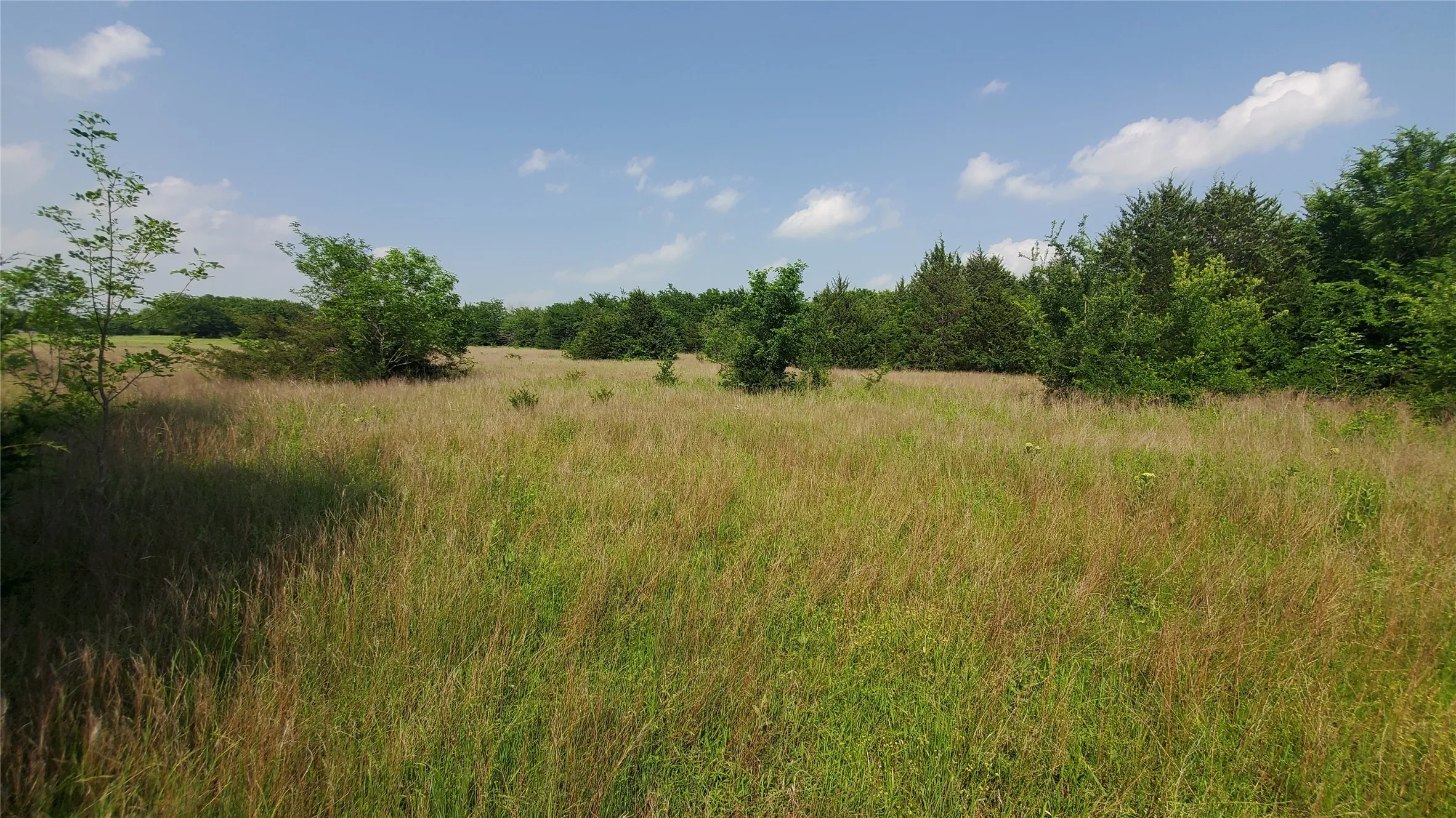 Unimproved Land For Sale in Hunt County , 9999 Private Road 1194, Celeste, Texas 75423, 0, 0, Garage spaces, 0 Sqft, built in 0, Price $175,000, mls#21298952, Real Estate Agent in Celeste, Homes For Sale in Hunt county, Homes For Sale in Celeste, Realtor in Celeste Texas, Real Estate Brokerage Independent Realty Texas, Luminita Cordes Realtor