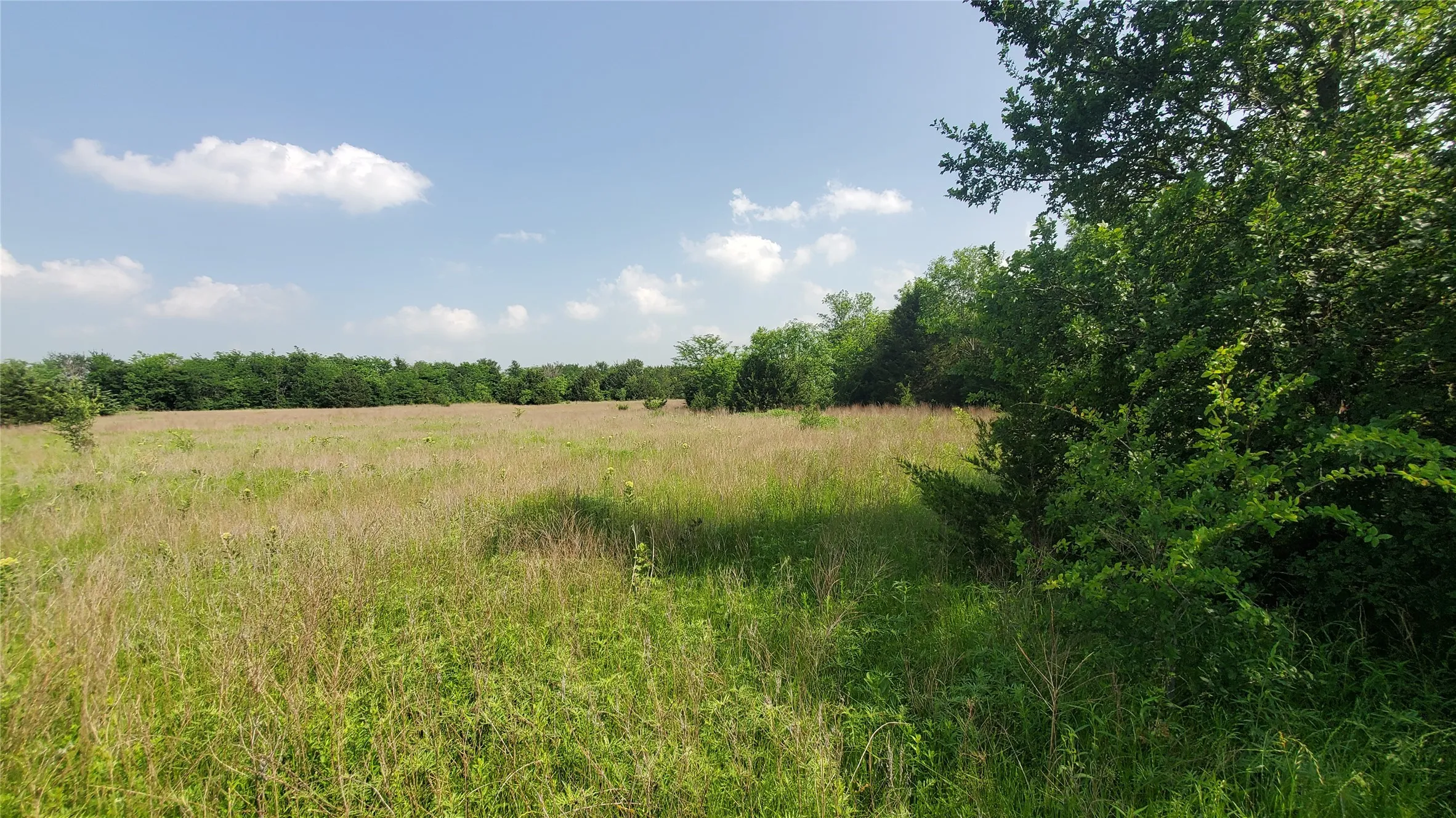 Unimproved Land For Sale in Hunt County , 9999 Private Road 1194, Celeste, Texas 75423, 0, 0, Garage spaces, 0 Sqft, built in 0, Price $175,000, mls#21298952, Real Estate Agent in Celeste, Homes For Sale in Hunt county, Homes For Sale in Celeste, Realtor in Celeste Texas, Real Estate Brokerage Independent Realty Texas, Luminita Cordes Realtor