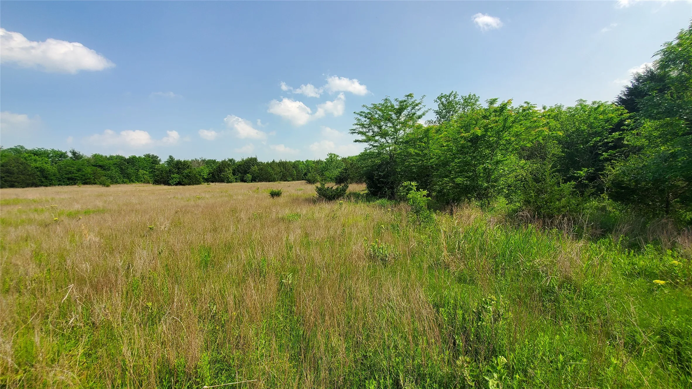 Unimproved Land For Sale in Hunt County , 9999 Private Road 1194, Celeste, Texas 75423, 0, 0, Garage spaces, 0 Sqft, built in 0, Price $175,000, mls#21298952, Real Estate Agent in Celeste, Homes For Sale in Hunt county, Homes For Sale in Celeste, Realtor in Celeste Texas, Real Estate Brokerage Independent Realty Texas, Luminita Cordes Realtor