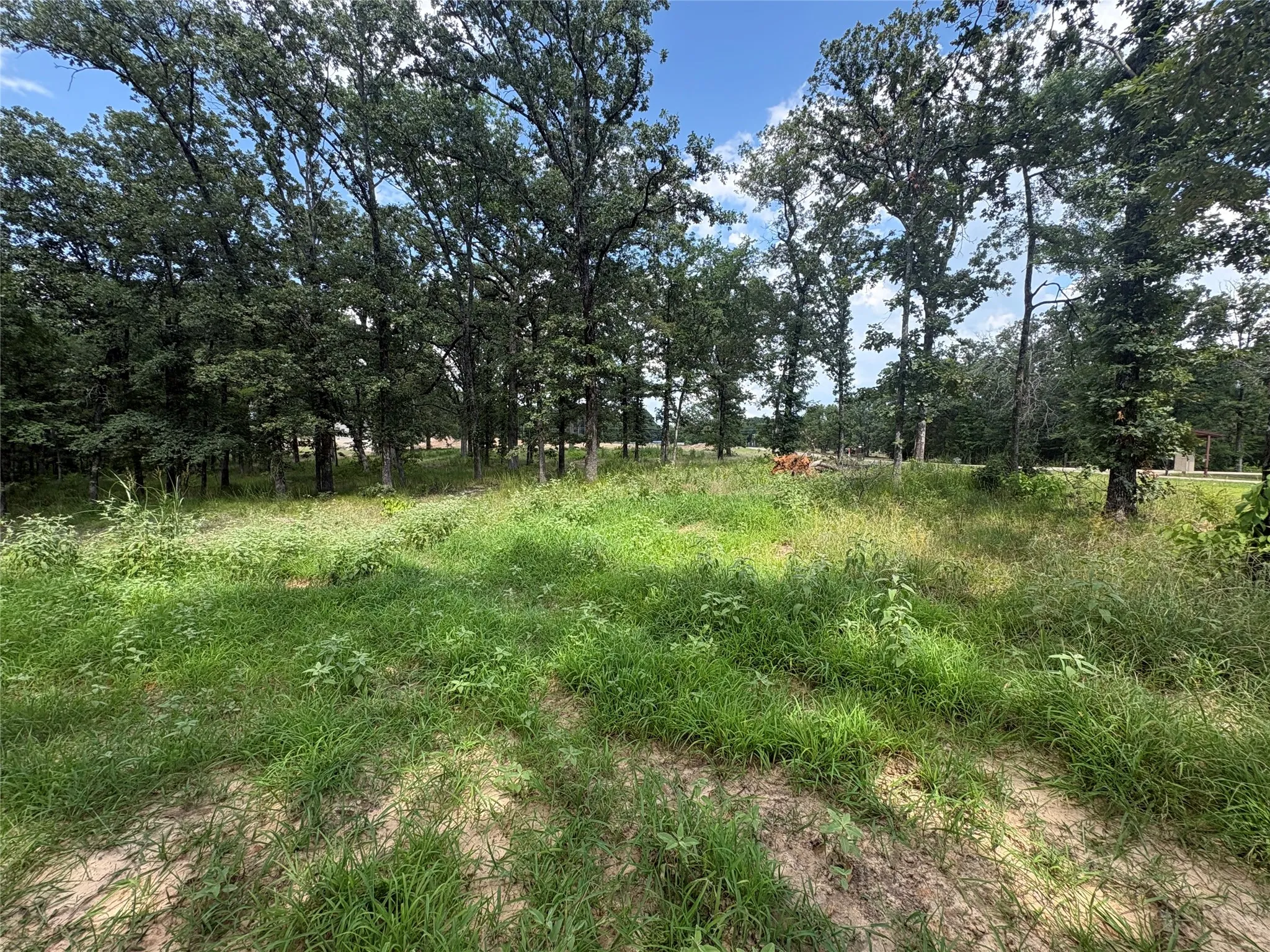 Improved Land For Sale in Wood County , TBD PVT 5948 Road #23, Yantis, Texas 75765, 0, 0, Garage spaces, 0 Sqft, built in 0, Price $65,000, mls#21313881, Real Estate Agent in Yantis, Homes For Sale in Wood county, Homes For Sale in Yantis, Realtor in Yantis Texas, Real Estate Brokerage Independent Realty Texas, Luminita Cordes Realtor