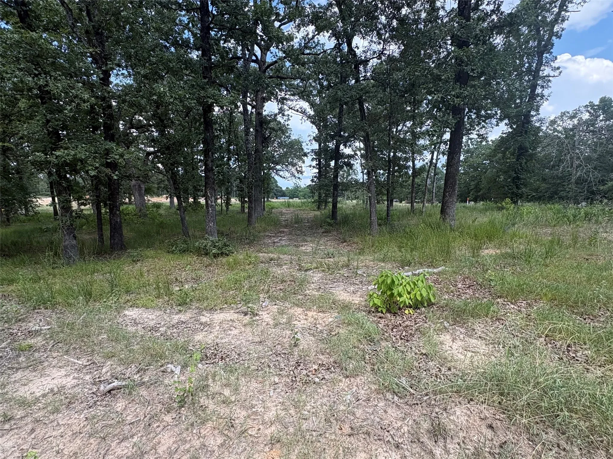 Improved Land For Sale in Wood County , TBD PVT 5948 Road #23, Yantis, Texas 75765, 0, 0, Garage spaces, 0 Sqft, built in 0, Price $65,000, mls#21313881, Real Estate Agent in Yantis, Homes For Sale in Wood county, Homes For Sale in Yantis, Realtor in Yantis Texas, Real Estate Brokerage Independent Realty Texas, Luminita Cordes Realtor