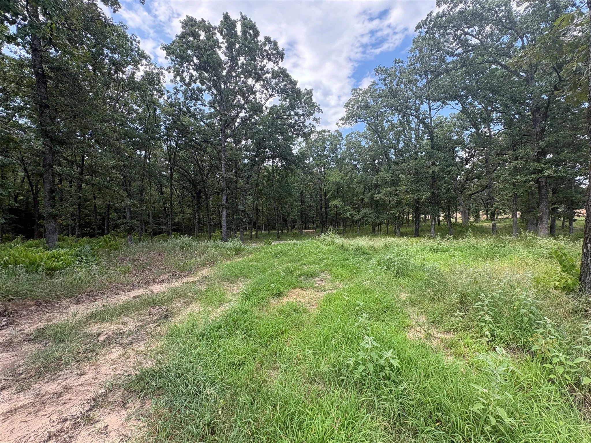 Improved Land For Sale in Wood County , TBD PVT 5948 Road #23, Yantis, Texas 75765, 0, 0, Garage spaces, 0 Sqft, built in 0, Price $65,000, mls#21313881, Real Estate Agent in Yantis, Homes For Sale in Wood county, Homes For Sale in Yantis, Realtor in Yantis Texas, Real Estate Brokerage Independent Realty Texas, Luminita Cordes Realtor