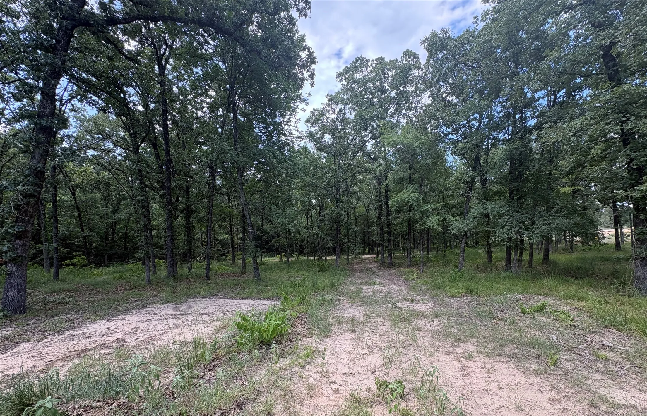 Improved Land For Sale in Wood County , TBD PVT 5948 Road #23, Yantis, Texas 75765, 0, 0, Garage spaces, 0 Sqft, built in 0, Price $65,000, mls#21313881, Real Estate Agent in Yantis, Homes For Sale in Wood county, Homes For Sale in Yantis, Realtor in Yantis Texas, Real Estate Brokerage Independent Realty Texas, Luminita Cordes Realtor
