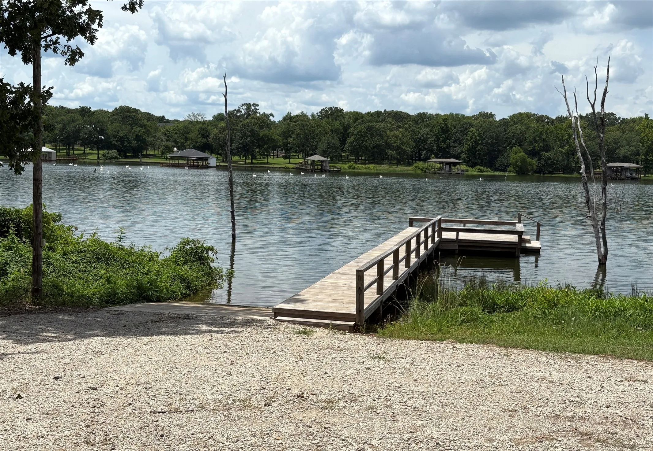 Improved Land For Sale in Wood County , TBD PVT 5948 Road #23, Yantis, Texas 75765, 0, 0, Garage spaces, 0 Sqft, built in 0, Price $65,000, mls#21313881, Real Estate Agent in Yantis, Homes For Sale in Wood county, Homes For Sale in Yantis, Realtor in Yantis Texas, Real Estate Brokerage Independent Realty Texas, Luminita Cordes Realtor