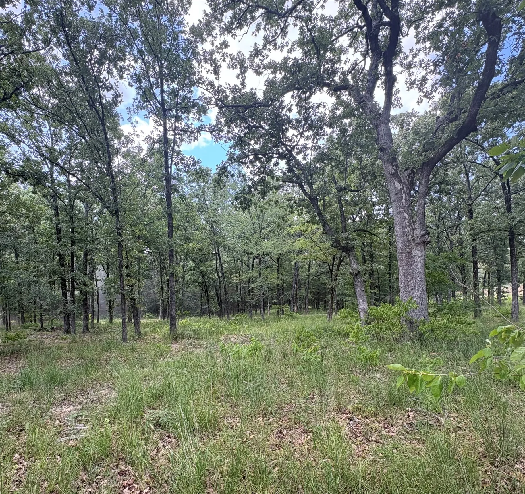 Improved Land For Sale in Wood County , TBD PVT 5948 Road #23, Yantis, Texas 75765, 0, 0, Garage spaces, 0 Sqft, built in 0, Price $65,000, mls#21313881, Real Estate Agent in Yantis, Homes For Sale in Wood county, Homes For Sale in Yantis, Realtor in Yantis Texas, Real Estate Brokerage Independent Realty Texas, Luminita Cordes Realtor