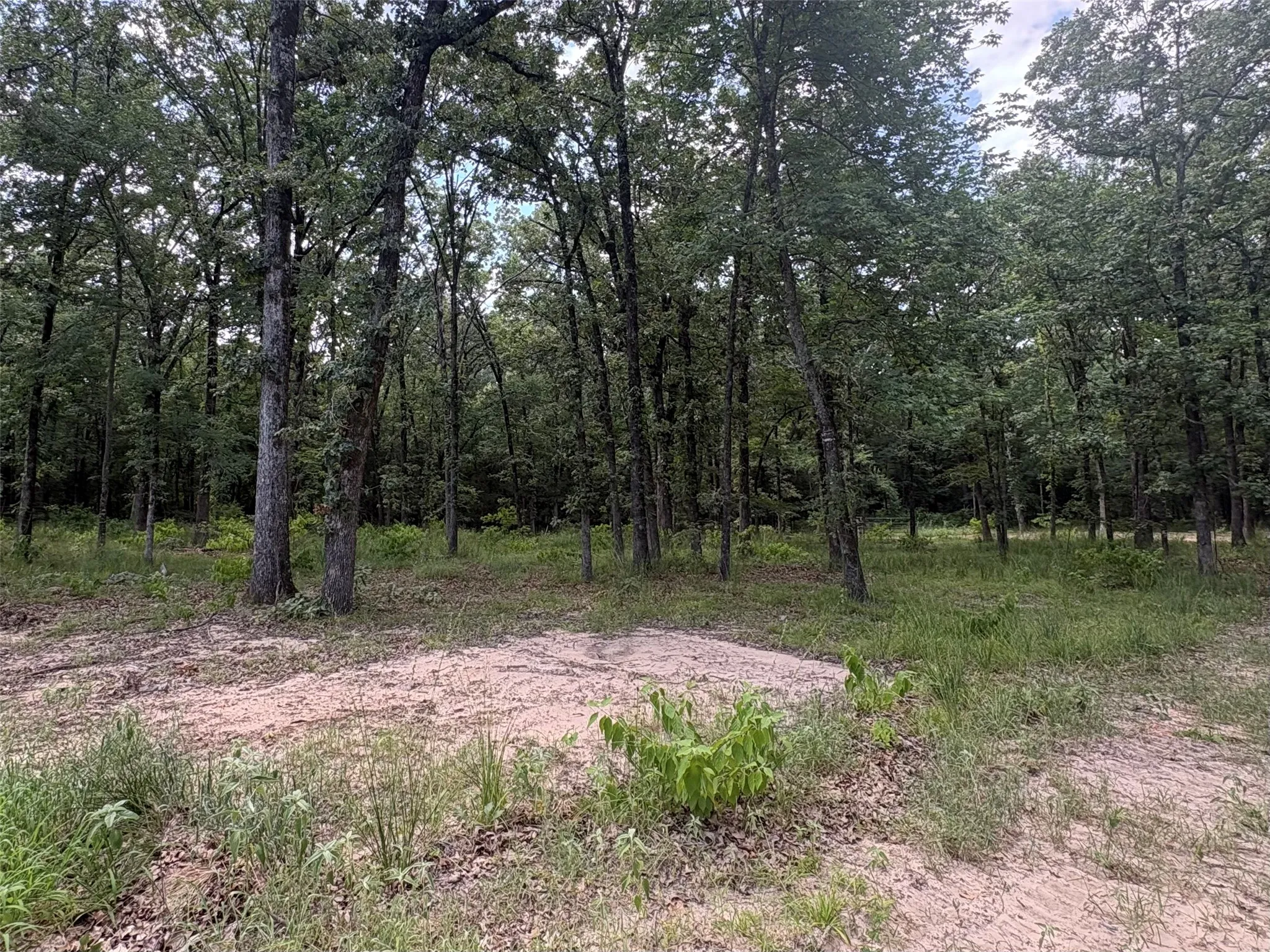 Improved Land For Sale in Wood County , TBD PVT 5948 Road #23, Yantis, Texas 75765, 0, 0, Garage spaces, 0 Sqft, built in 0, Price $65,000, mls#21313881, Real Estate Agent in Yantis, Homes For Sale in Wood county, Homes For Sale in Yantis, Realtor in Yantis Texas, Real Estate Brokerage Independent Realty Texas, Luminita Cordes Realtor