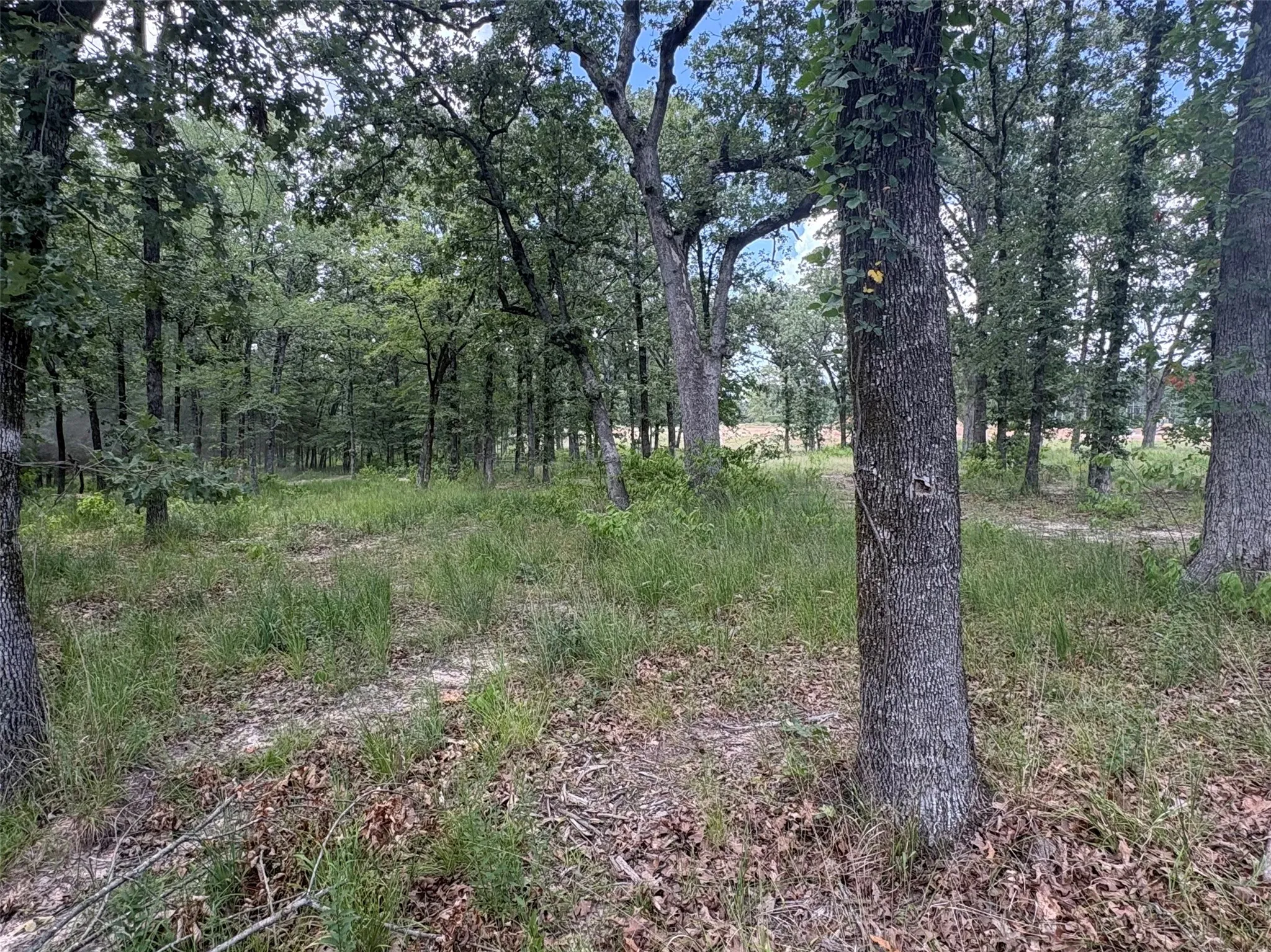 Improved Land For Sale in Wood County , TBD PVT 5948 Road #23, Yantis, Texas 75765, 0, 0, Garage spaces, 0 Sqft, built in 0, Price $65,000, mls#21313881, Real Estate Agent in Yantis, Homes For Sale in Wood county, Homes For Sale in Yantis, Realtor in Yantis Texas, Real Estate Brokerage Independent Realty Texas, Luminita Cordes Realtor