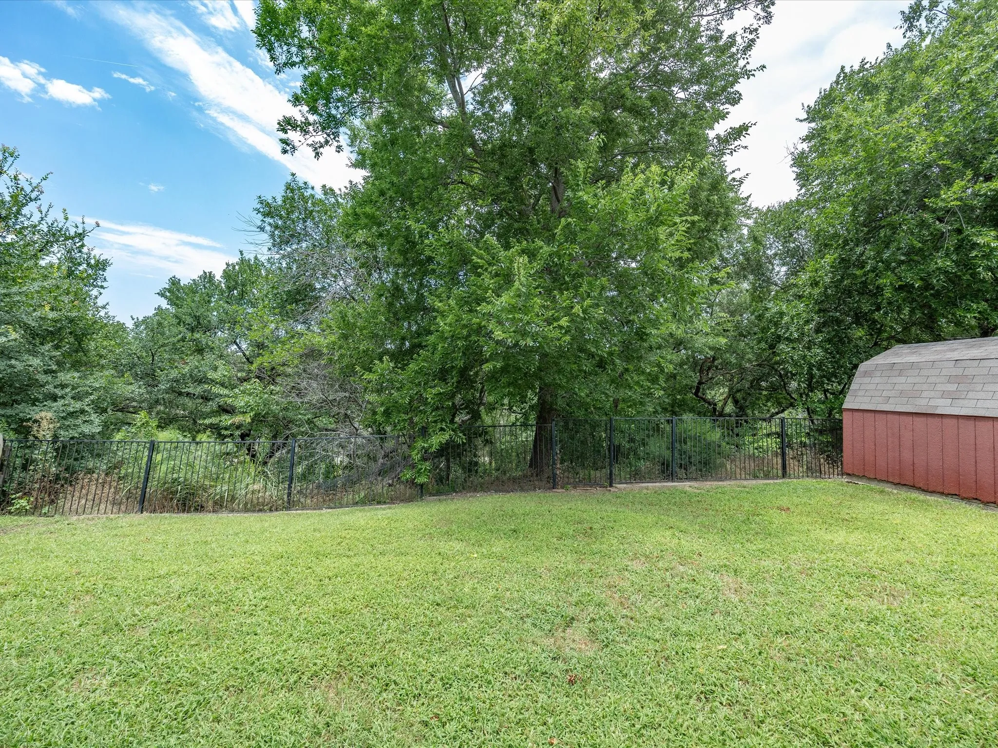 Expansive grassy yard area featuring a black metal fence, mature trees, and a red storage shed with a shingled roof