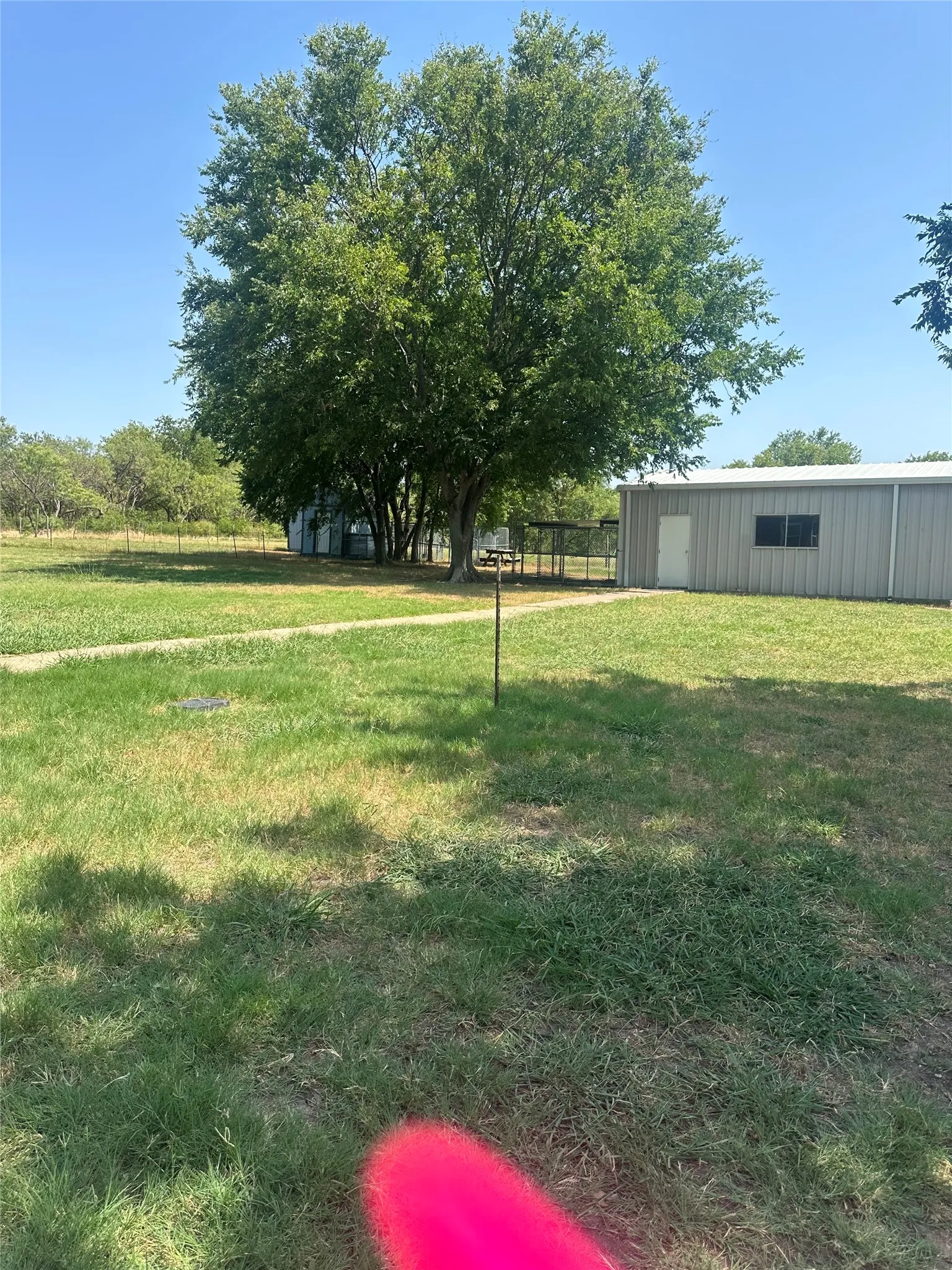 Expansive outdoor space featuring a large mature tree, open grassy areas, and a metal-sided accessory building with a white door and single window