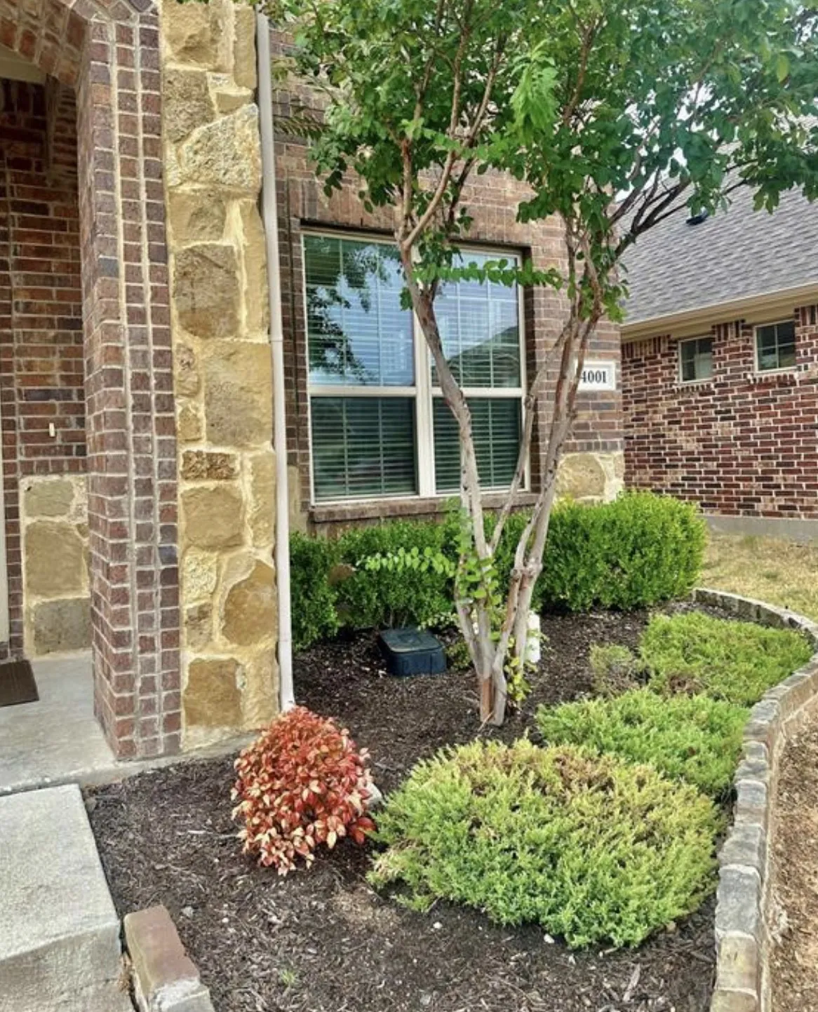Single Family Residence For Rent in Collin County , 4001 Muscadine Drive, Mc Kinney, Texas 75071, 4 Bedroom, 4 Bathroom, 2 Garage spaces, 3,395 Sqft, built in 2016, mls#21320447, Real Estate Agent in Mc Kinney, Homes For Rent in Collin county, Homes For Rent in Mc Kinney, Realtor in Mc Kinney Texas, Real Estate Brokerage Independent Realty Texas, Luminita Cordes Realtor