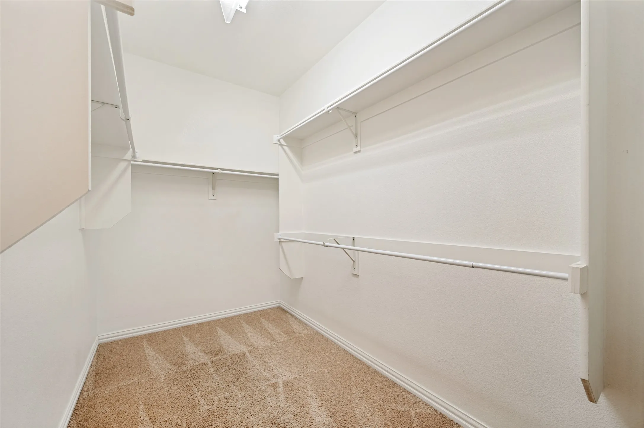 Master bedroom Walk-in closet featuring carpet flooring, painted white walls, white shelving units, white hanging rods, and white baseboards