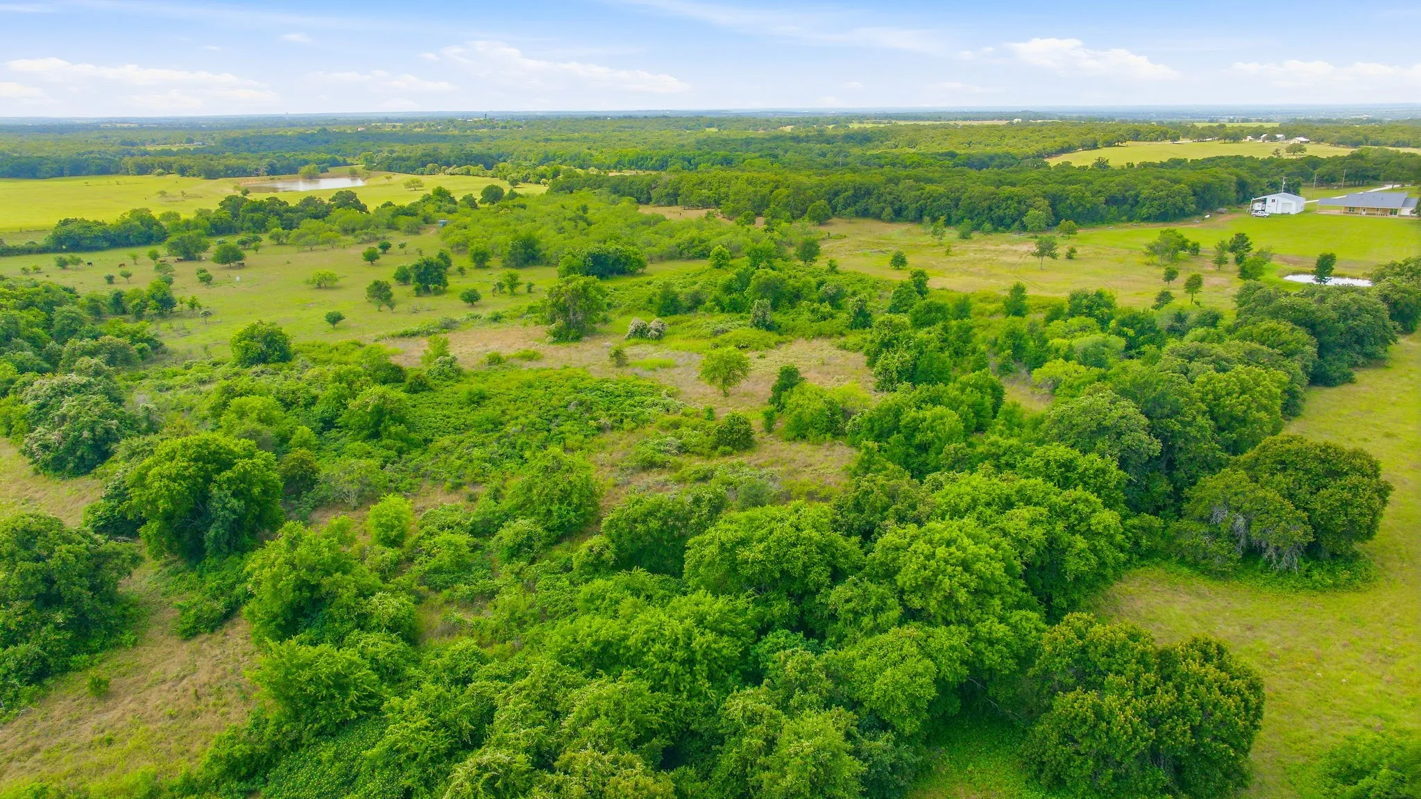 Unimproved Land For Sale in Hill County , TBD Hcr 1439 13 Acres, Covington, Texas 76636, 0, 0, Garage spaces, 0 Sqft, built in 0, Price $357,500, mls#21303376, Real Estate Agent in Covington, Homes For Sale in Hill county, Homes For Sale in Covington, Realtor in Covington Texas, Real Estate Brokerage Independent Realty Texas, Luminita Cordes Realtor