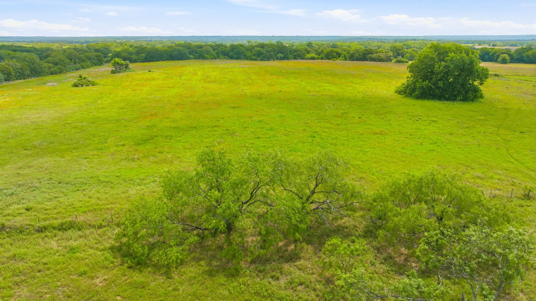 Unimproved Land For Sale in Hill County , TBD Hcr 1439 14 Acres, Covington, Texas 76636, 0, 0, Garage spaces, 0 Sqft, built in 0, Price $371,000, mls#21303343, Real Estate Agent in Covington, Homes For Sale in Hill county, Homes For Sale in Covington, Realtor in Covington Texas, Real Estate Brokerage Independent Realty Texas, Luminita Cordes Realtor