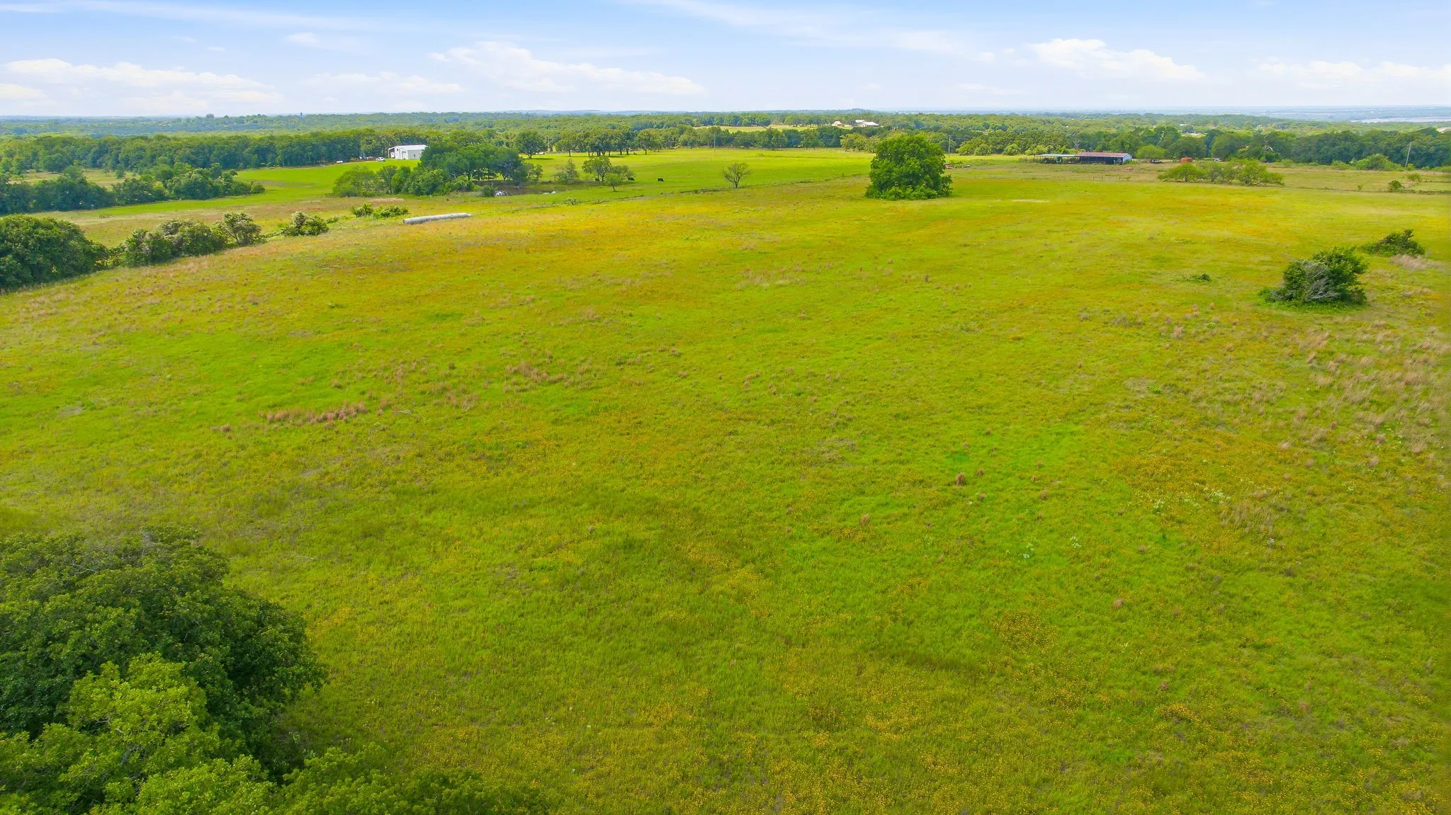 Unimproved Land For Sale in Hill County , TBD Hcr 1432 14 Acres, Covington, Texas 76636, 0, 0, Garage spaces, 0 Sqft, built in 0, Price $385,000, mls#21303339, Real Estate Agent in Covington, Homes For Sale in Hill county, Homes For Sale in Covington, Realtor in Covington Texas, Real Estate Brokerage Independent Realty Texas, Luminita Cordes Realtor