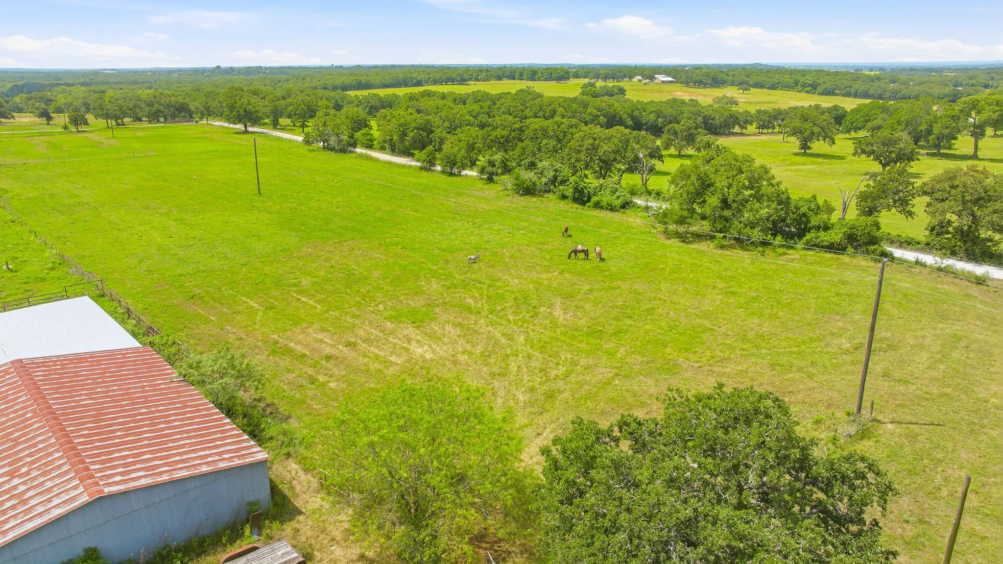 Unimproved Land For Sale in Hill County , 1439 Hcr 1432, Covington, Texas 76636, 0, 0, Garage spaces, 0 Sqft, built in 0, mls#21302885, Real Estate Agent in Covington, Homes For Sale in Hill county, Homes For Sale in Covington, Realtor in Covington Texas, Real Estate Brokerage Independent Realty Texas, Luminita Cordes Realtor