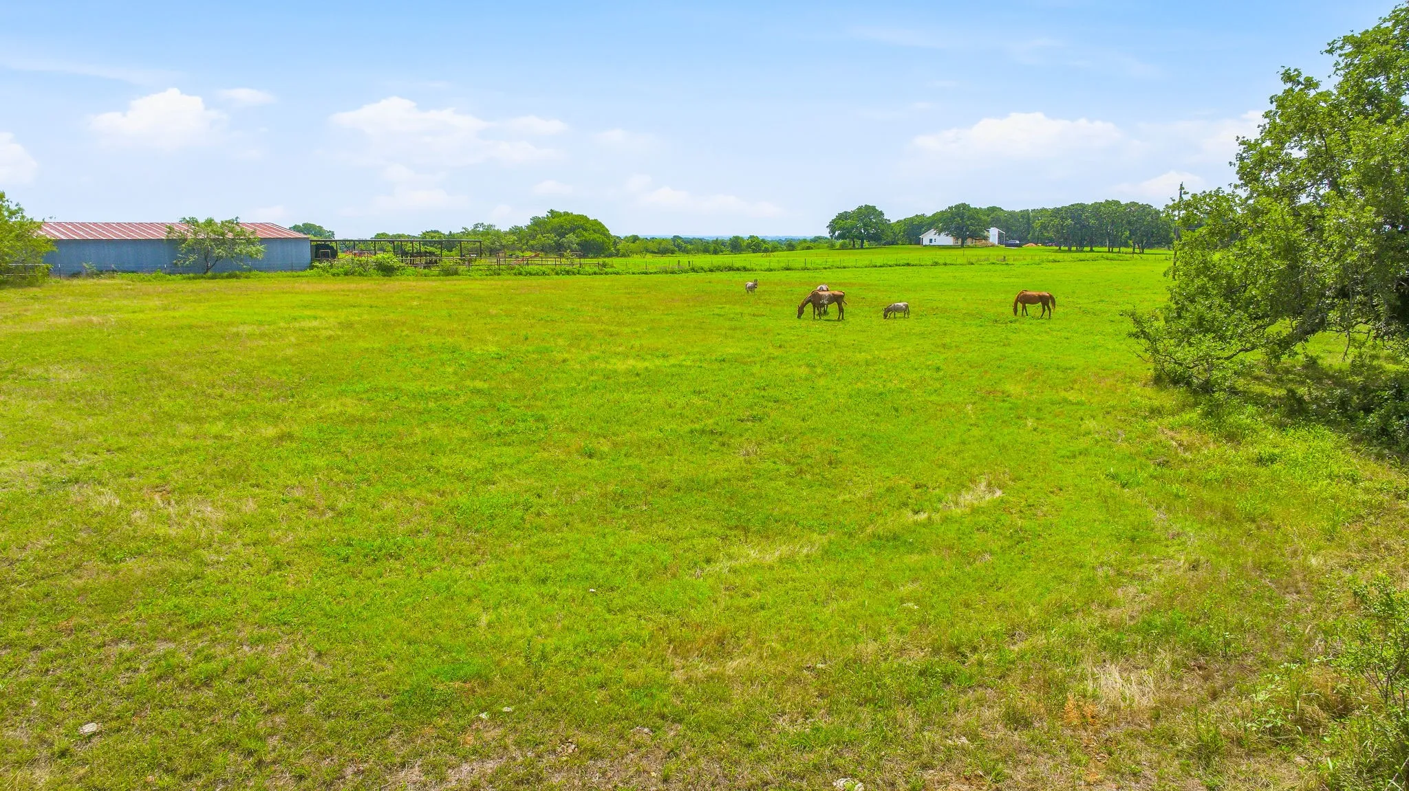 Unimproved Land For Sale in Hill County , 1439 Hcr 1432, Covington, Texas 76636, 0, 0, Garage spaces, 0 Sqft, built in 0, mls#21302885, Real Estate Agent in Covington, Homes For Sale in Hill county, Homes For Sale in Covington, Realtor in Covington Texas, Real Estate Brokerage Independent Realty Texas, Luminita Cordes Realtor