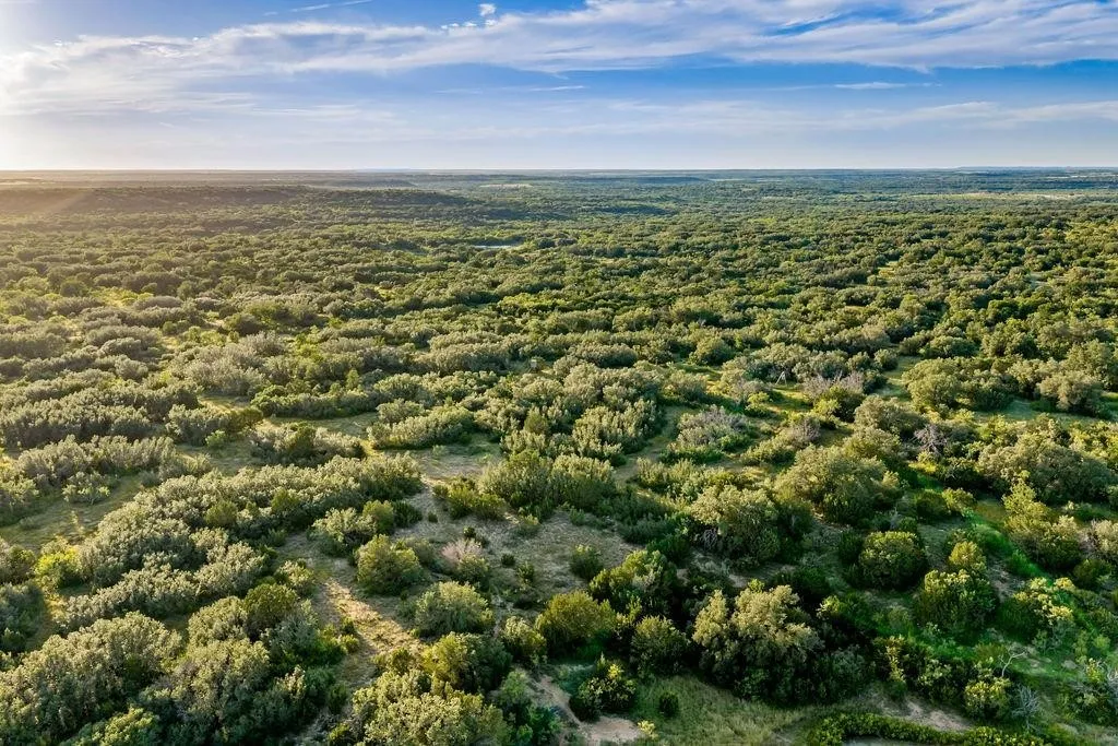 Ranch For Sale in Coleman County , 5324 Fm 568, Santa Anna, Texas 76878, 0, 0, Garage spaces, 0 Sqft, built in 2021, mls#21320520, Real Estate Agent in Santa Anna, Homes For Sale in Coleman county, Homes For Sale in Santa Anna, Realtor in Santa Anna Texas, Real Estate Brokerage Independent Realty Texas, Luminita Cordes Realtor