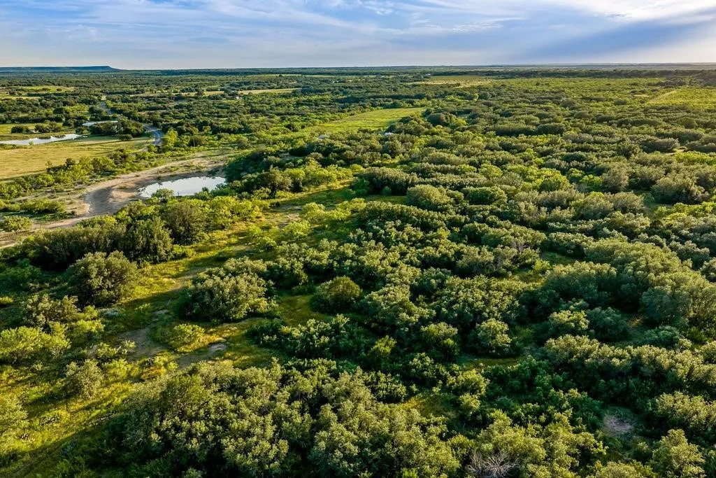 Ranch For Sale in Coleman County , 5324 Fm 568, Santa Anna, Texas 76878, 0, 0, Garage spaces, 0 Sqft, built in 2021, mls#21320520, Real Estate Agent in Santa Anna, Homes For Sale in Coleman county, Homes For Sale in Santa Anna, Realtor in Santa Anna Texas, Real Estate Brokerage Independent Realty Texas, Luminita Cordes Realtor
