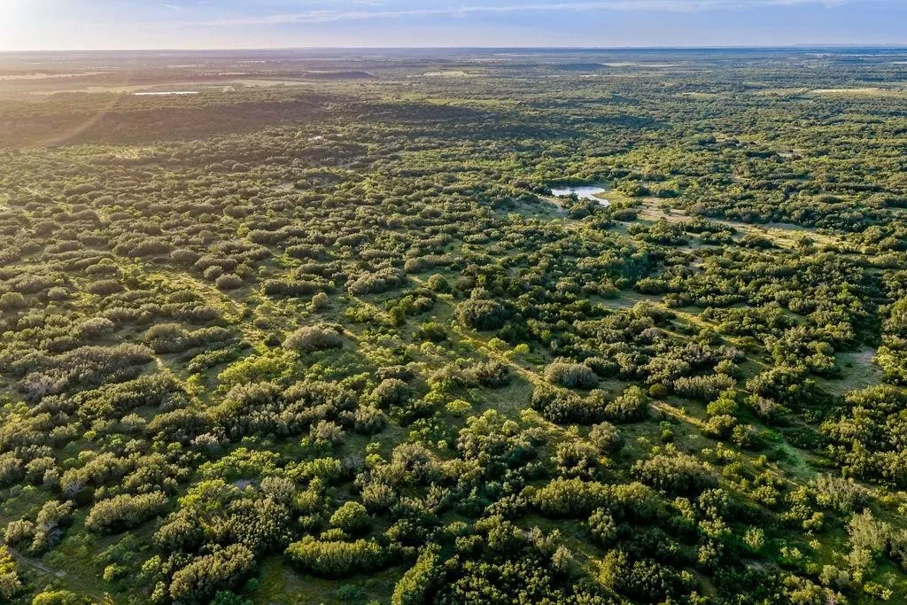Ranch For Sale in Coleman County , 5324 Fm 568, Santa Anna, Texas 76878, 0, 0, Garage spaces, 0 Sqft, built in 2021, mls#21320520, Real Estate Agent in Santa Anna, Homes For Sale in Coleman county, Homes For Sale in Santa Anna, Realtor in Santa Anna Texas, Real Estate Brokerage Independent Realty Texas, Luminita Cordes Realtor