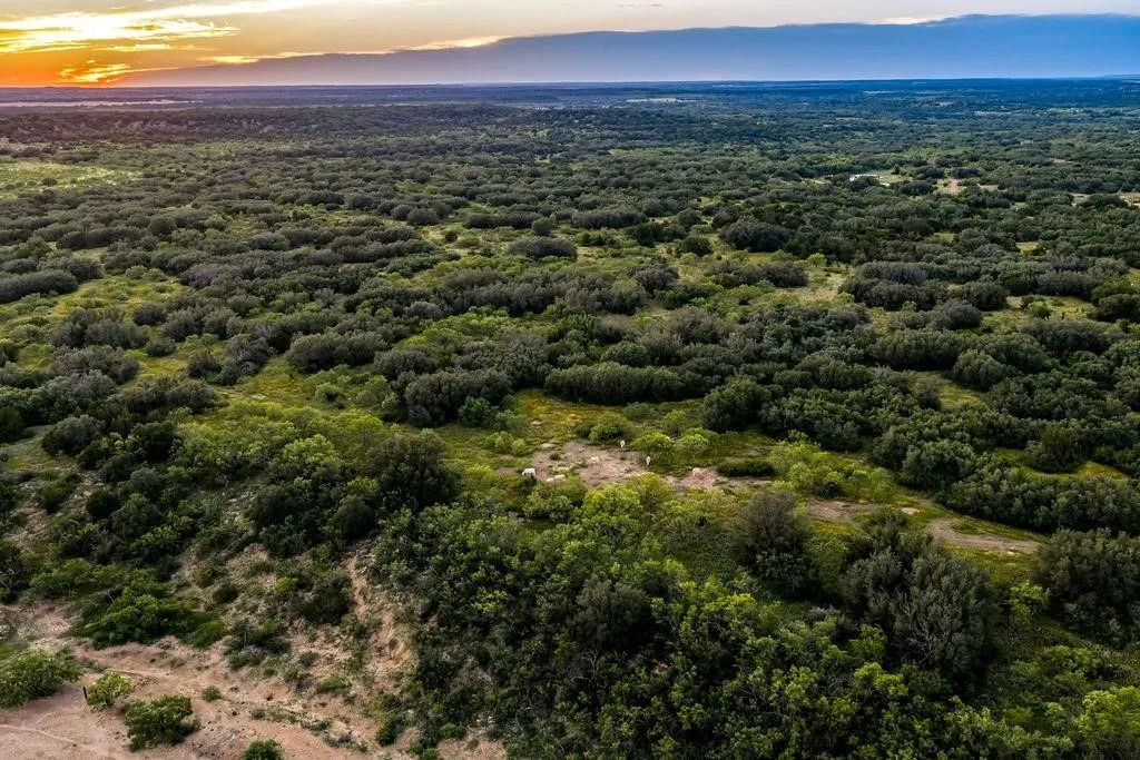 Ranch For Sale in Coleman County , 5324 Fm 568, Santa Anna, Texas 76878, 0, 0, Garage spaces, 0 Sqft, built in 2021, mls#21320520, Real Estate Agent in Santa Anna, Homes For Sale in Coleman county, Homes For Sale in Santa Anna, Realtor in Santa Anna Texas, Real Estate Brokerage Independent Realty Texas, Luminita Cordes Realtor