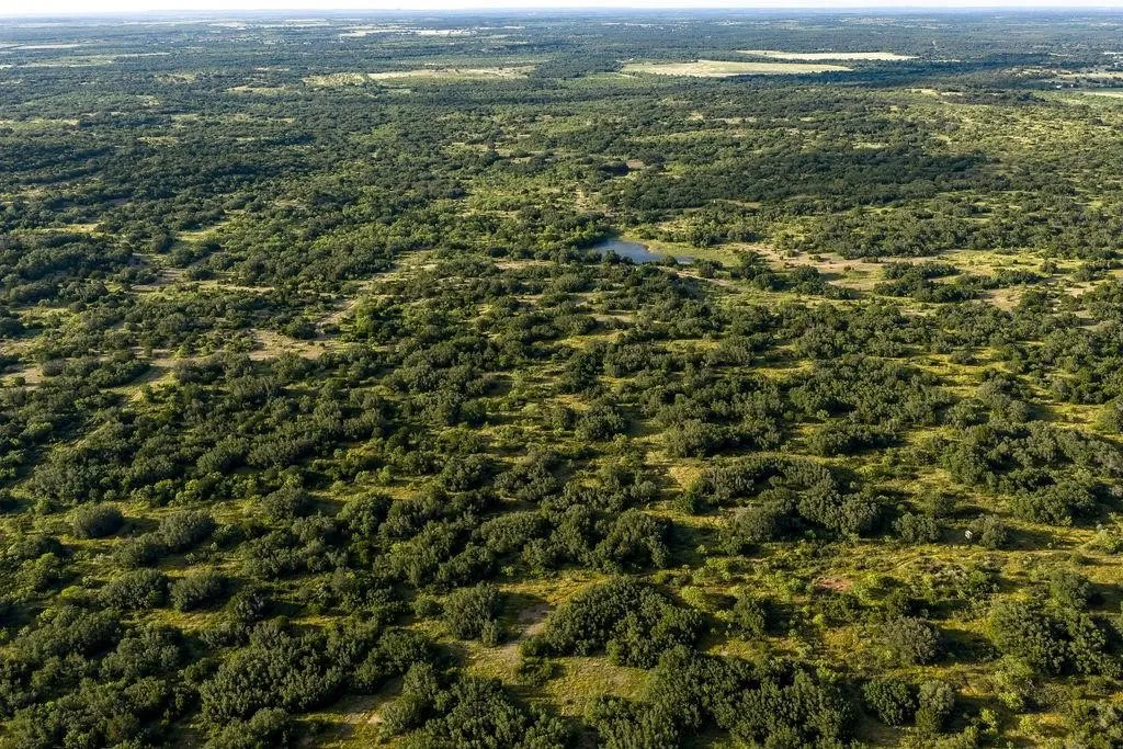 Ranch For Sale in Coleman County , 5324 Fm 568, Santa Anna, Texas 76878, 0, 0, Garage spaces, 0 Sqft, built in 2021, mls#21320520, Real Estate Agent in Santa Anna, Homes For Sale in Coleman county, Homes For Sale in Santa Anna, Realtor in Santa Anna Texas, Real Estate Brokerage Independent Realty Texas, Luminita Cordes Realtor