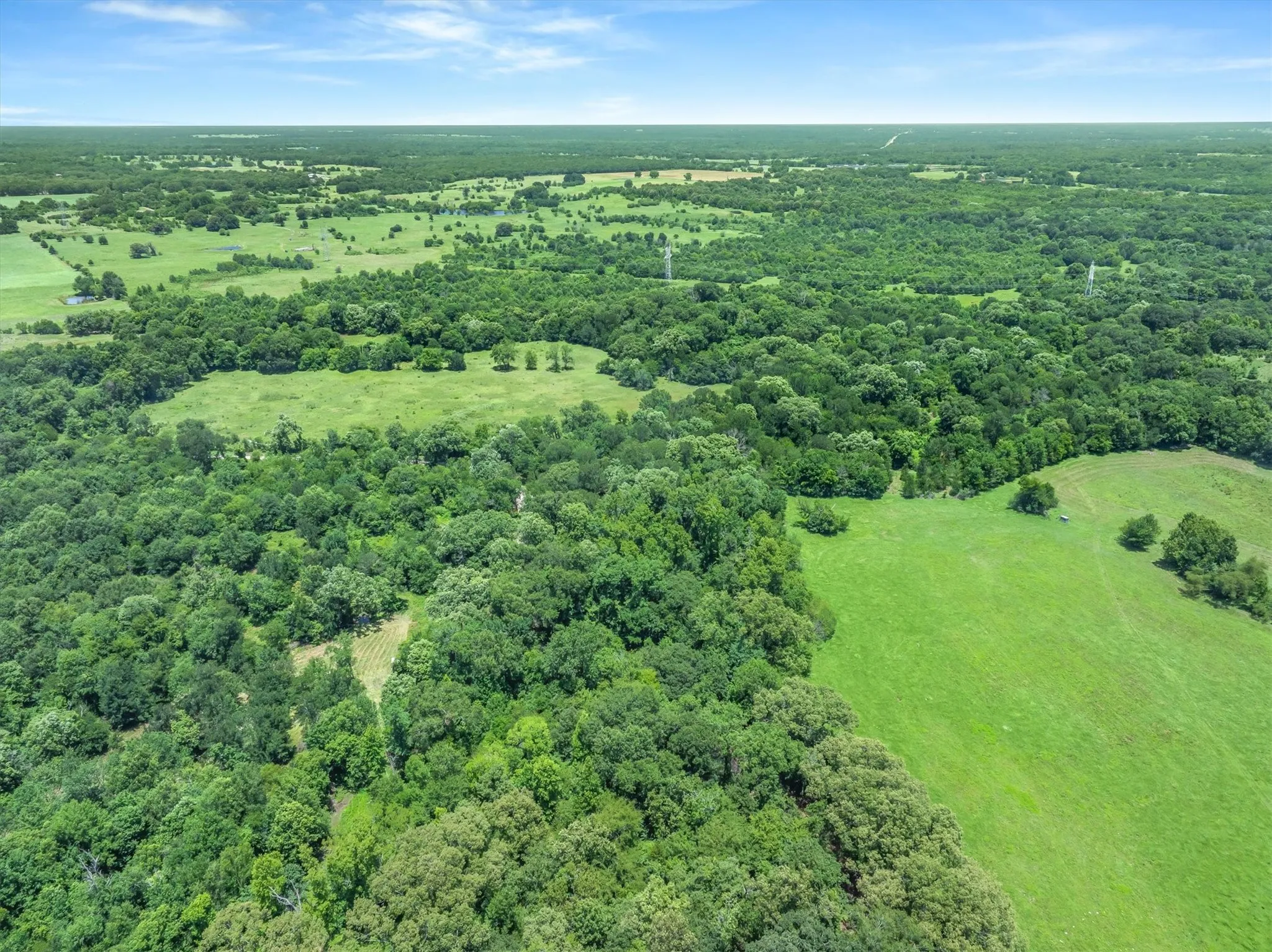 Expansive green landscape featuring mature tree coverage and open clearings
