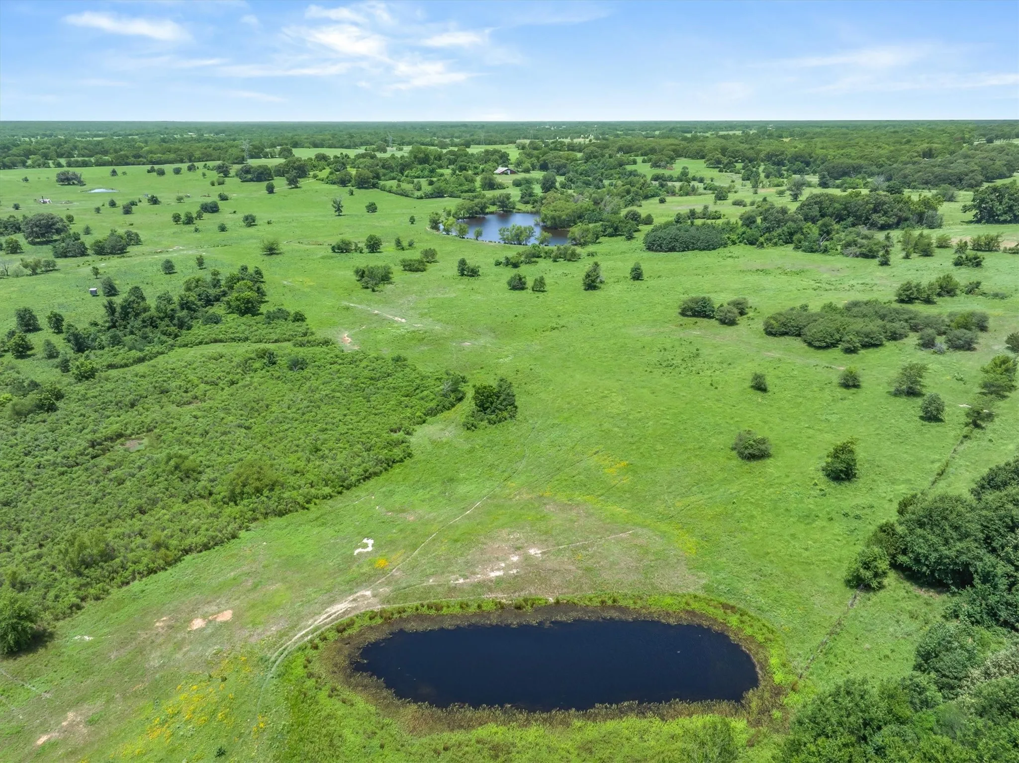 Expansive green landscape featuring multiple ponds, scattered trees, and varied foliage