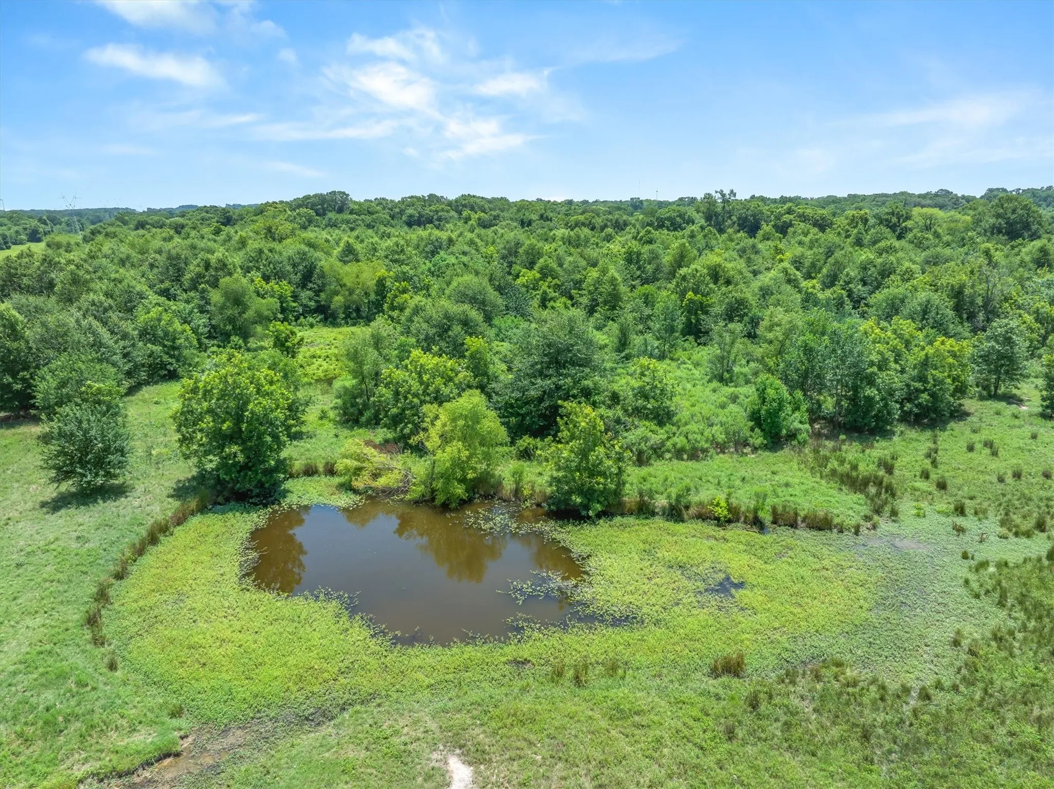 Expansive land parcel featuring a natural pond surrounded by lush greenery, mature trees, and open grassy areas