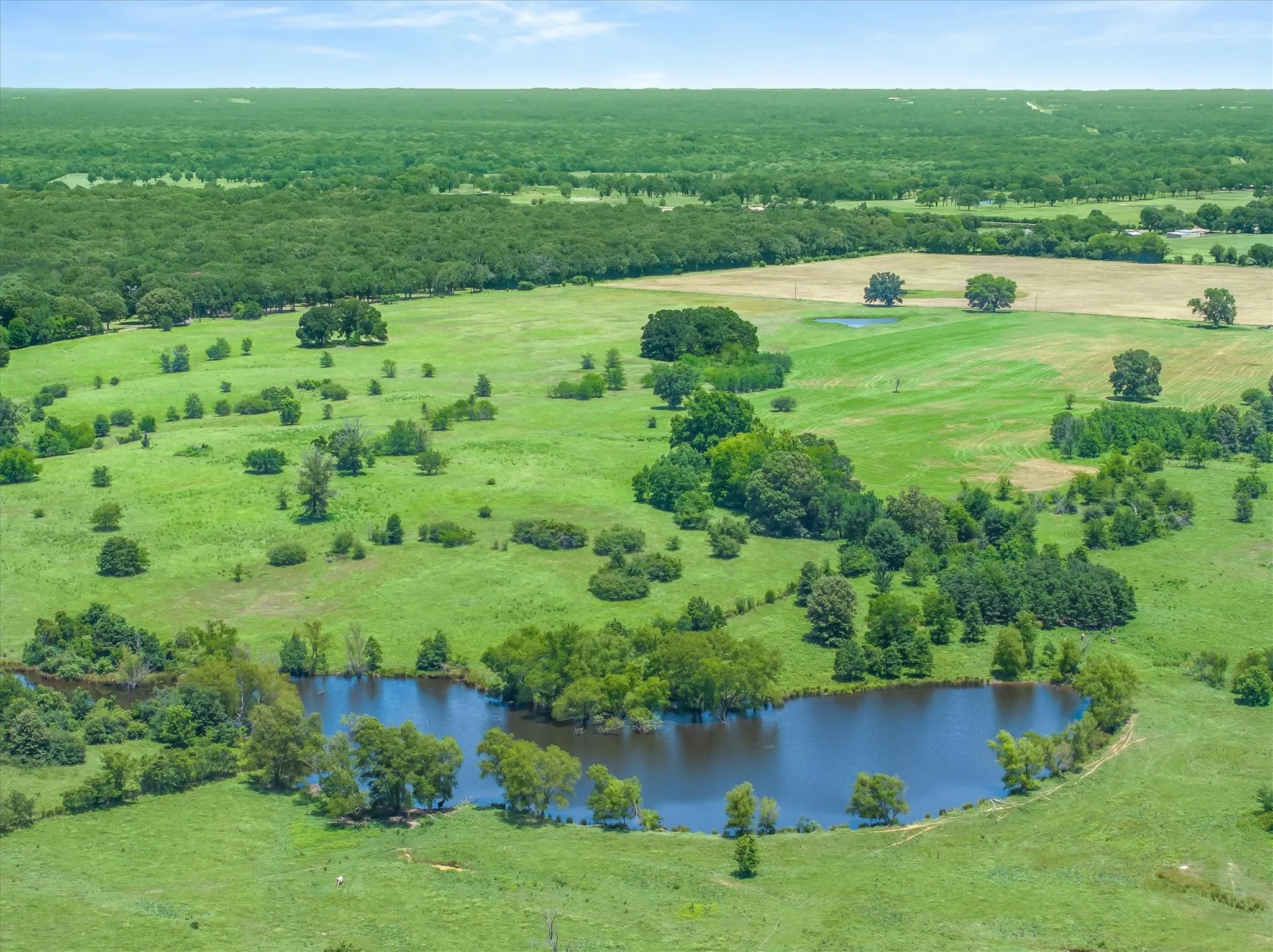 Expansive land featuring lush green pastures, mature trees, and a substantial pond