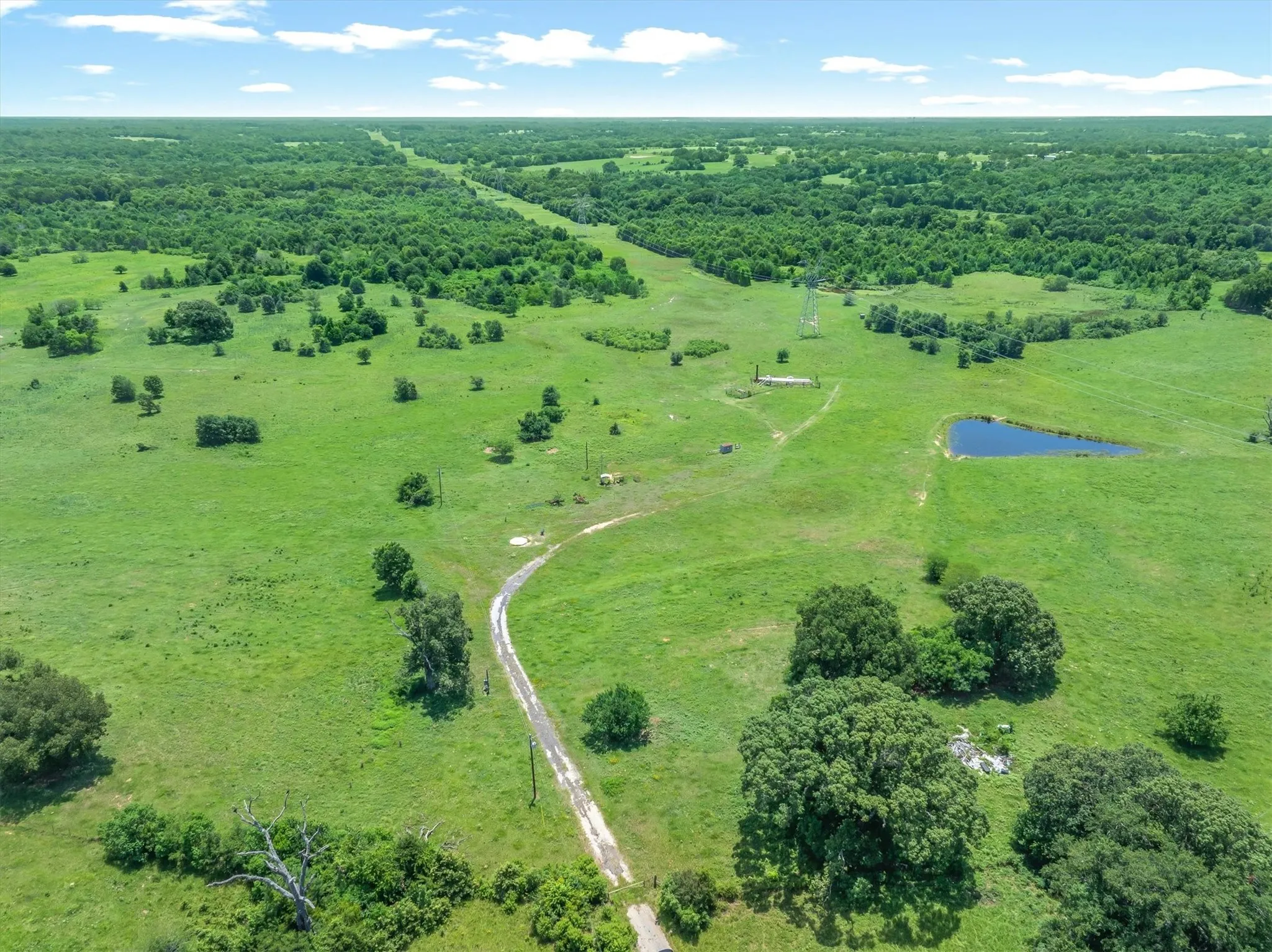 Expansive green landscape featuring a natural pond, scattered mature trees, a winding dirt road, and open fields extending to the horizon
