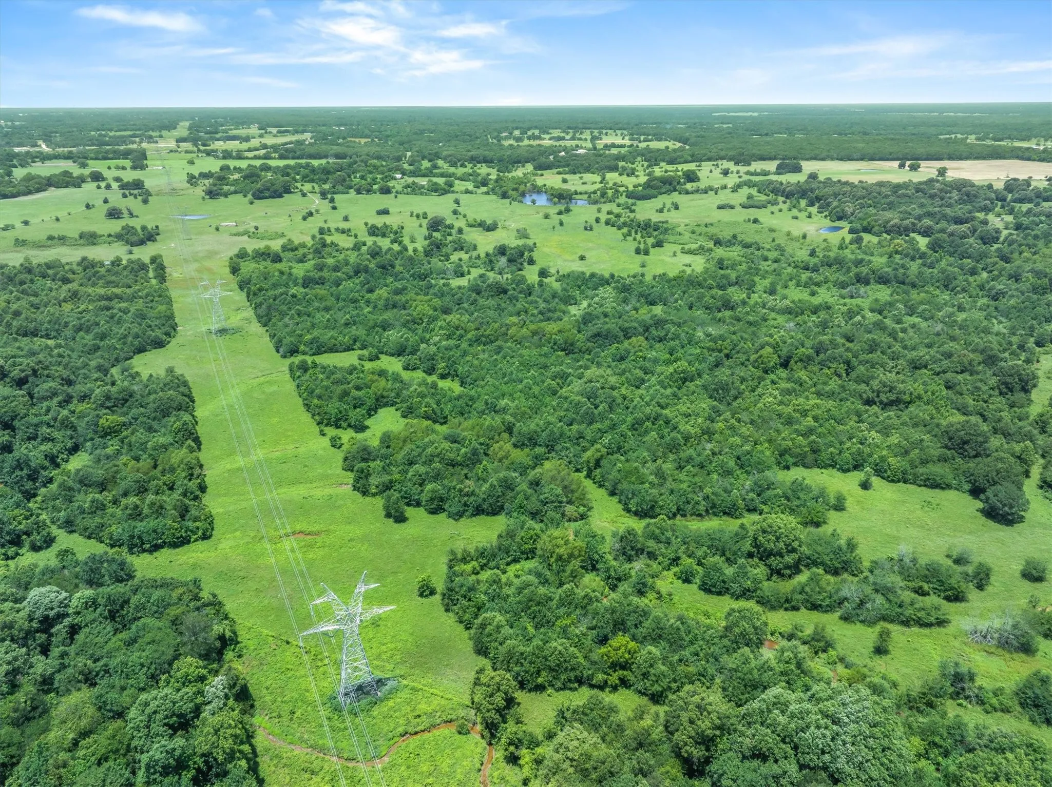 Expansive land parcel featuring a wide, clear right-of-way and abundant mature trees