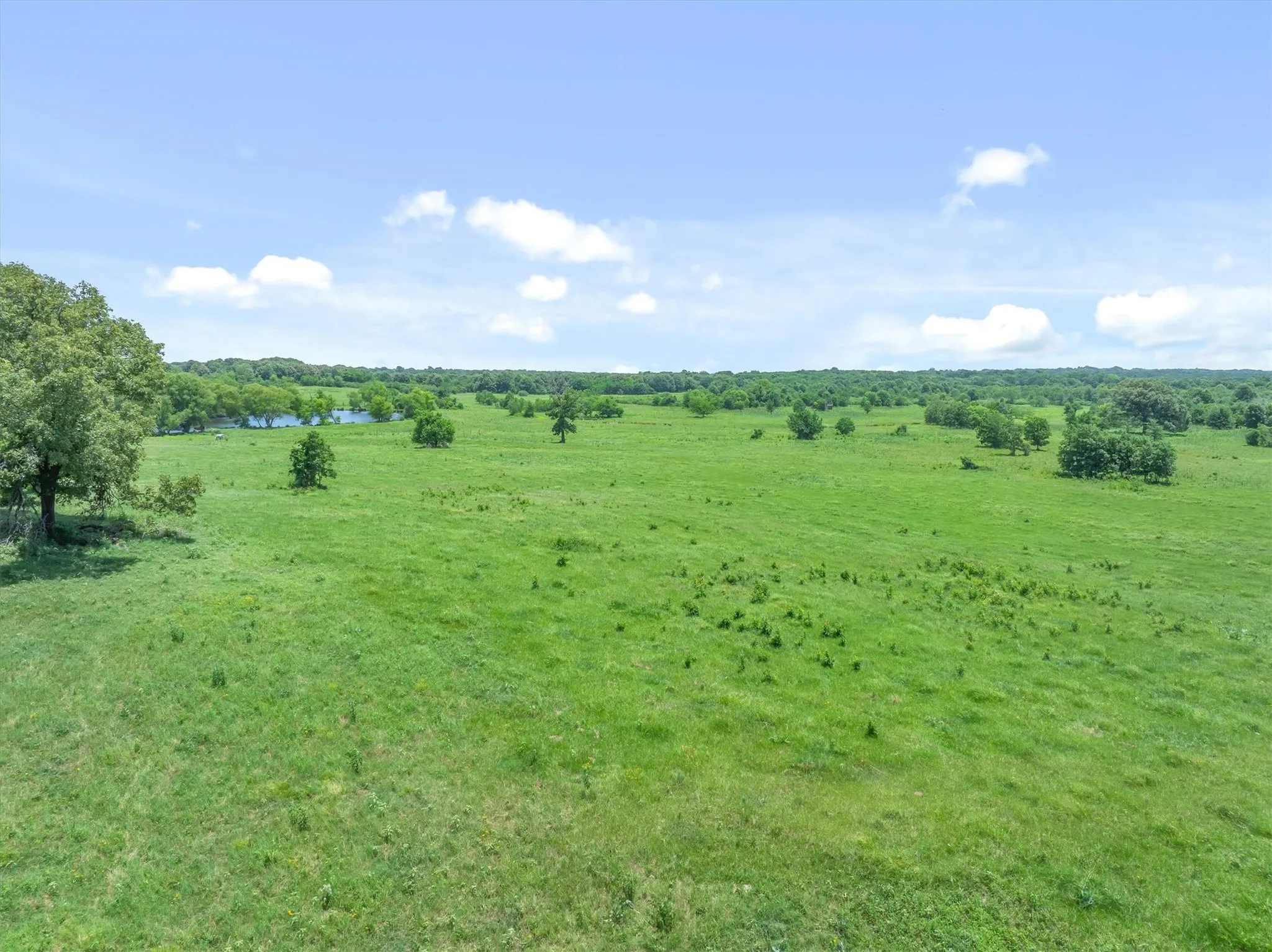 Expansive verdant landscape featuring a natural body of water, scattered trees, and distant tree lines under a clear sky