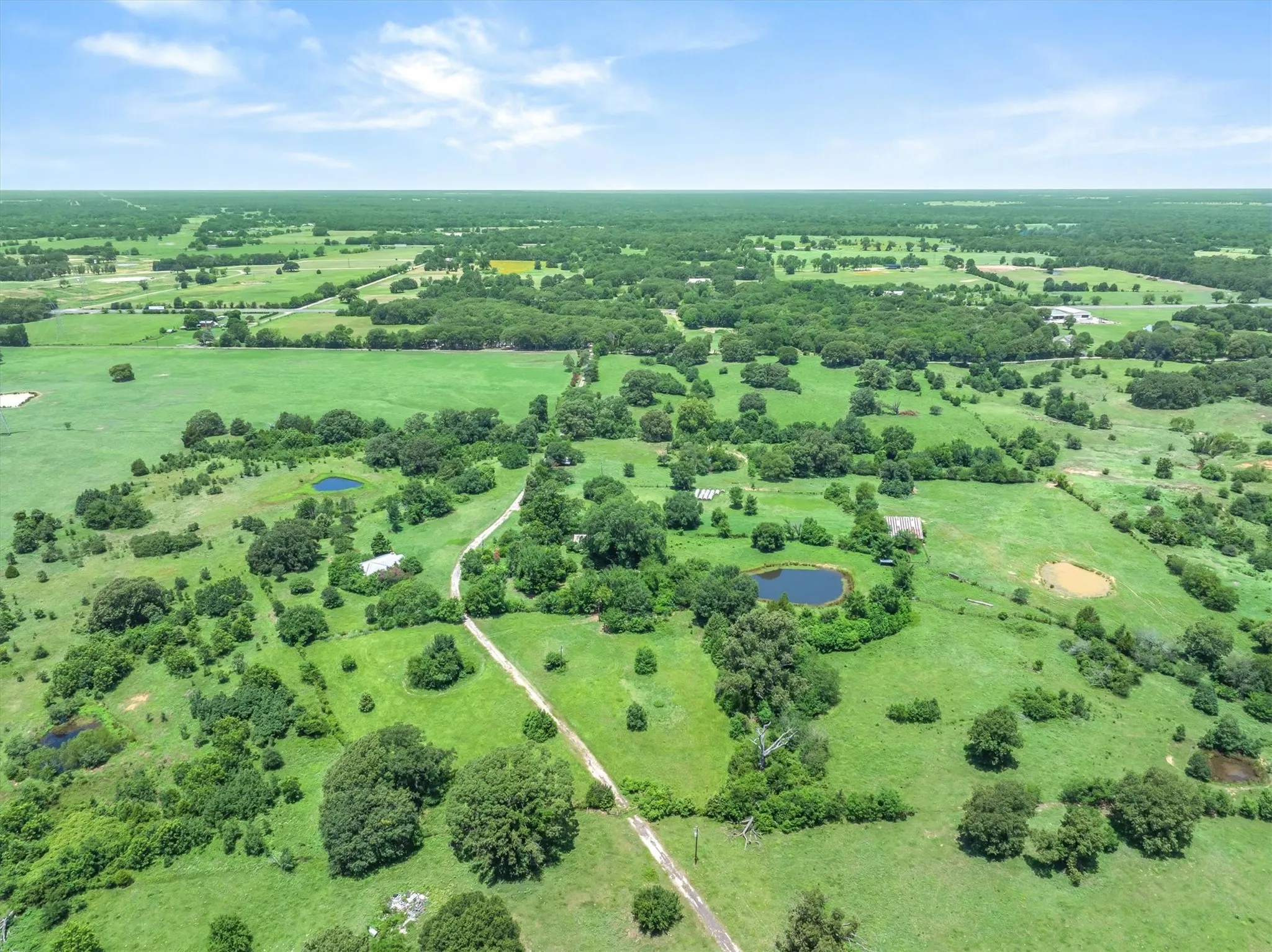 Expansive rural landscape featuring vibrant green fields, numerous mature trees, multiple ponds, and an unpaved road