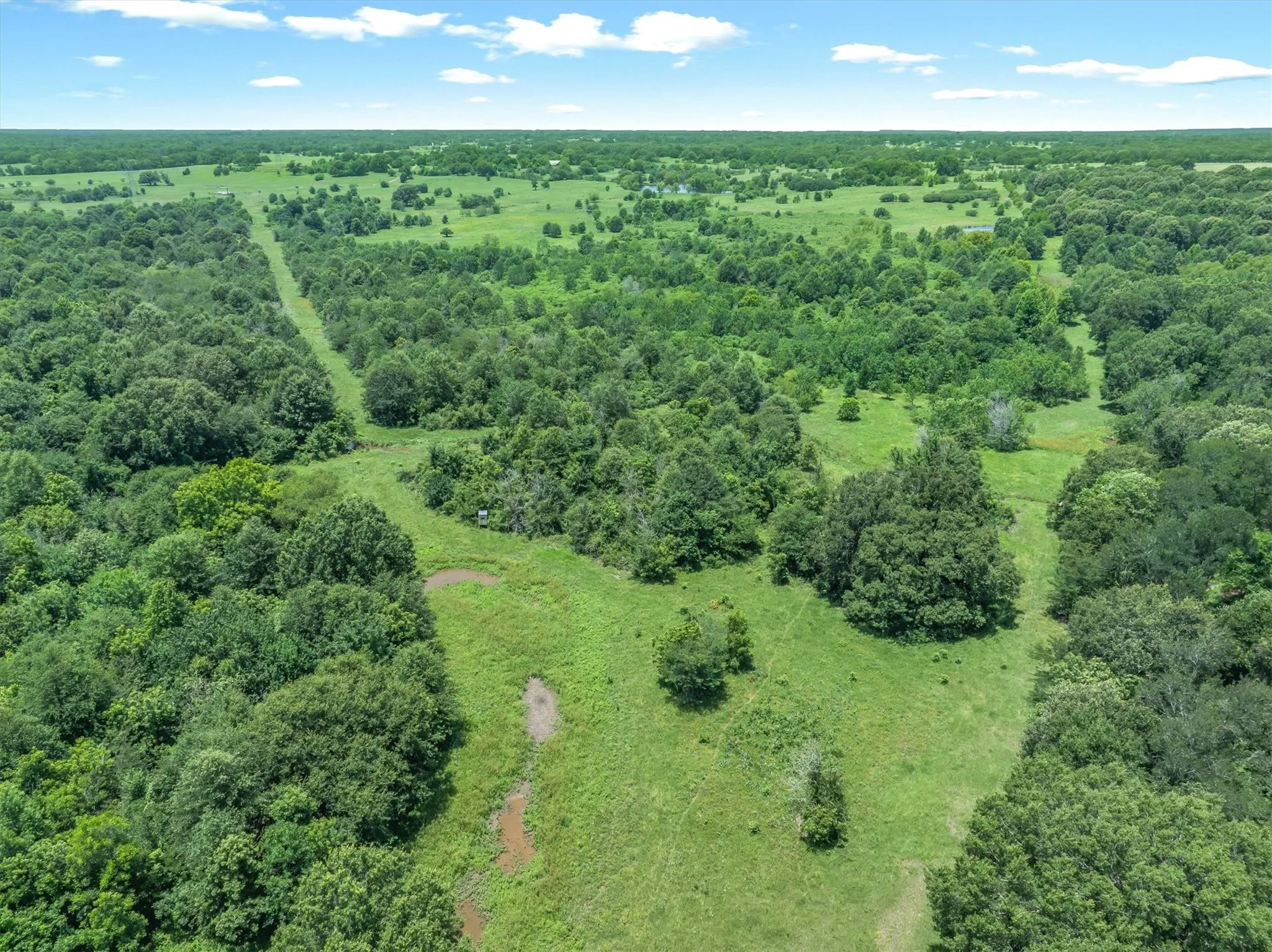 Expansive parcel featuring a blend of mature woodlands and open grassy clearings
