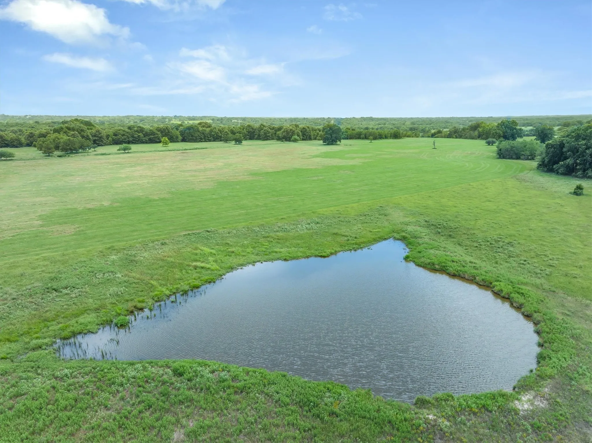 Expansive green pastureland featuring a private pond with natural borders