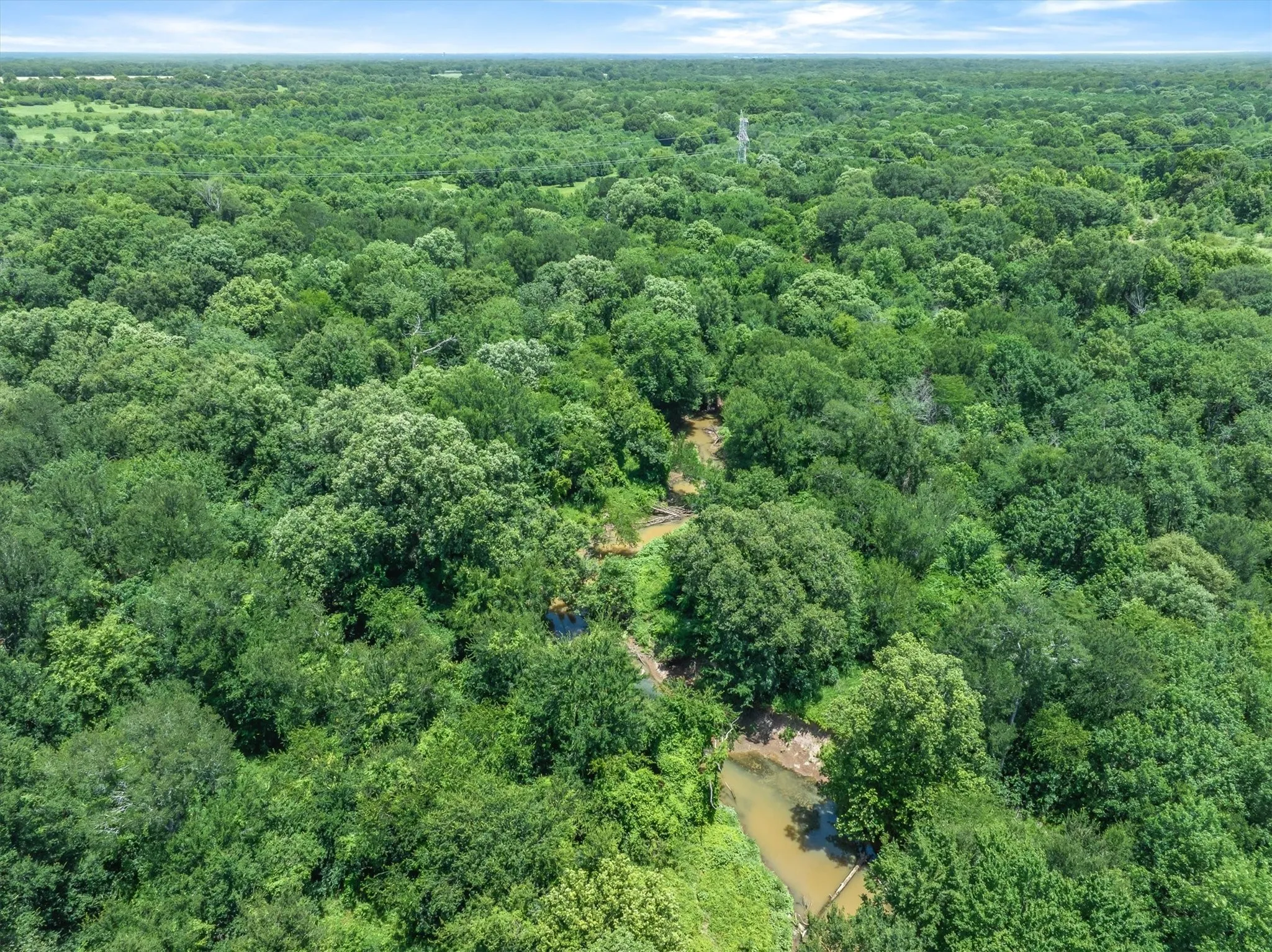 Expansive green canopy featuring mature trees and natural water features