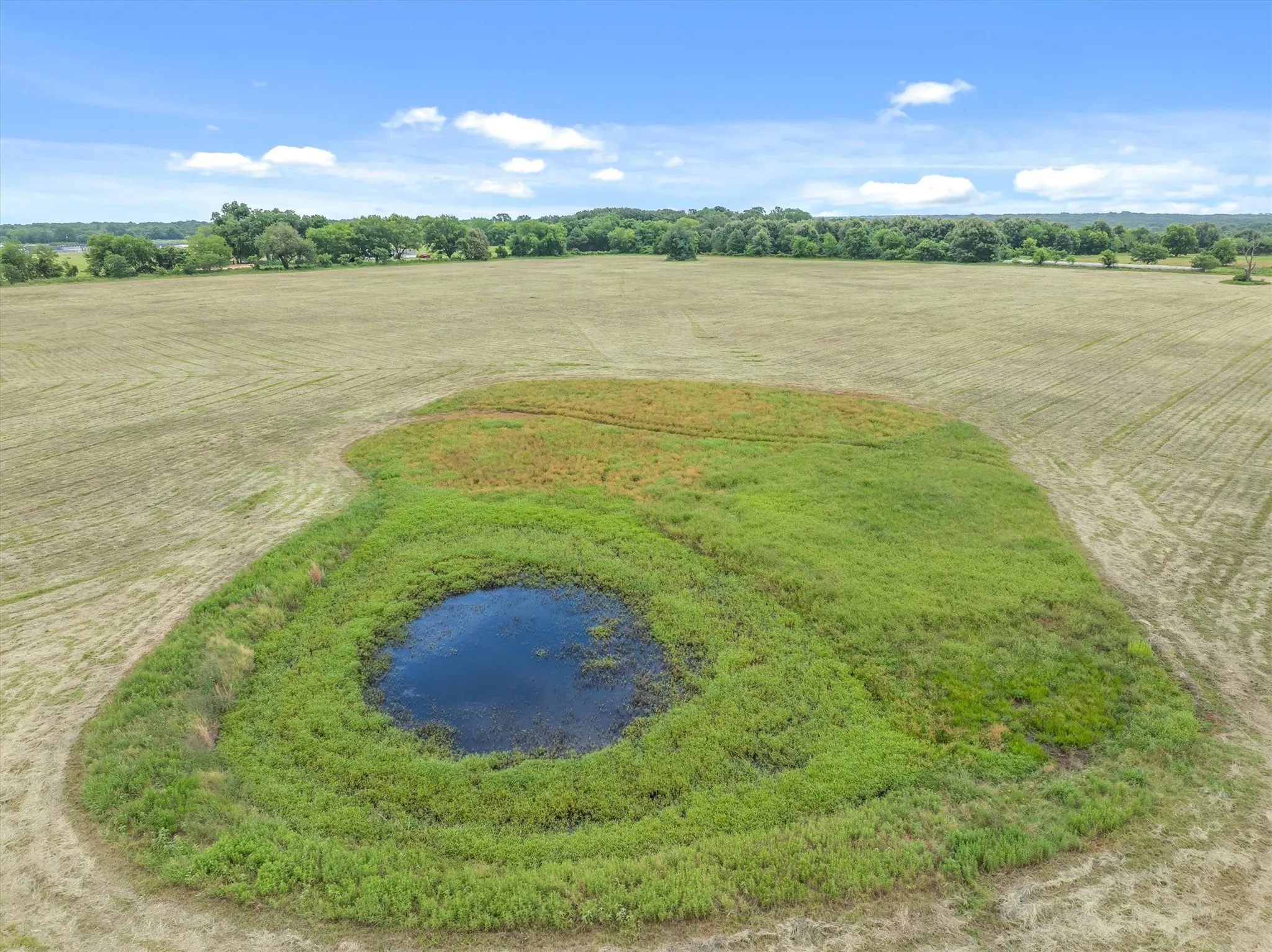 Expansive land parcel featuring a natural pond surrounded by green vegetation, substantial open field areas, and a distant tree line under a clear sky