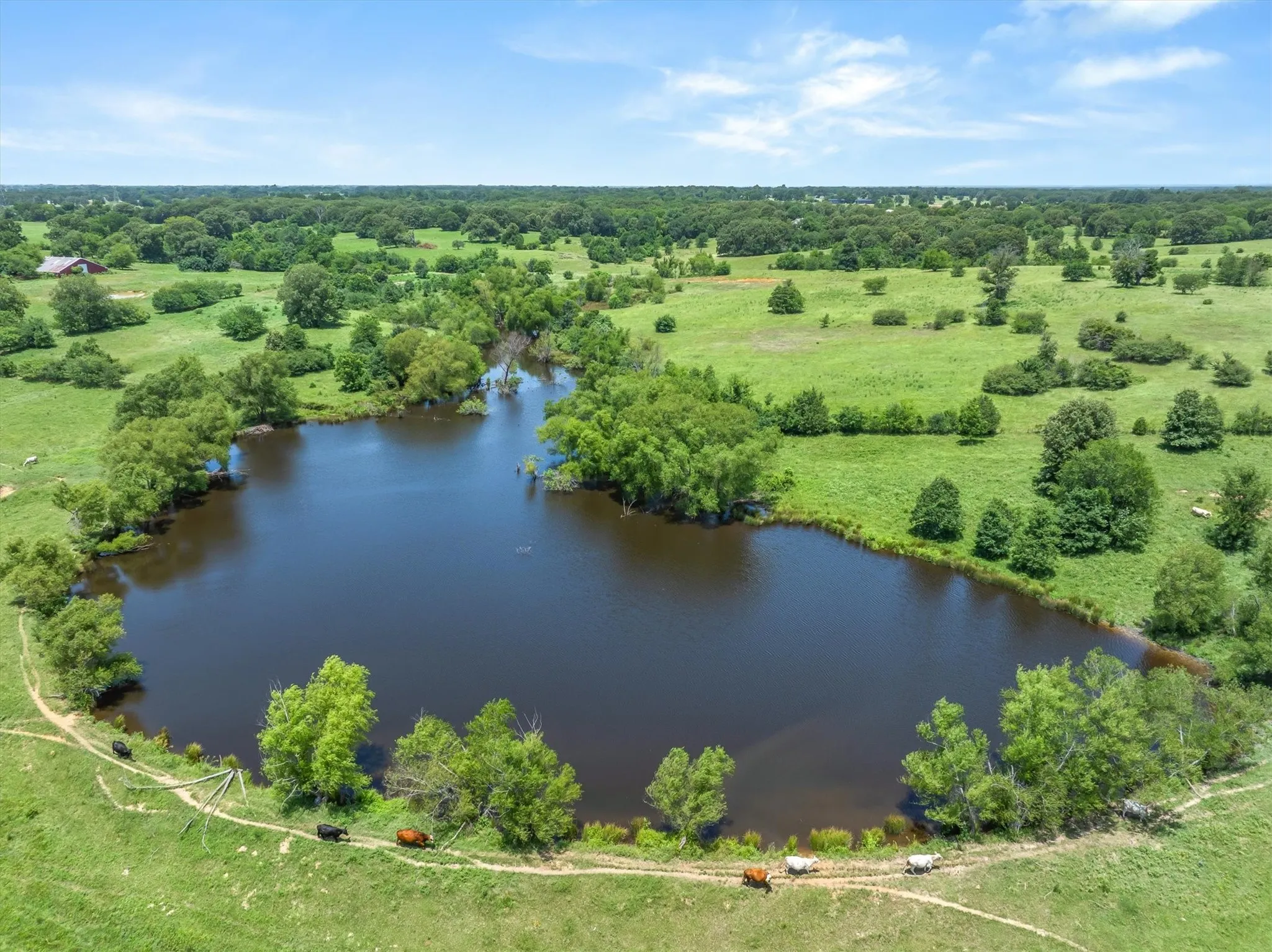 Expansive natural pond surrounded by lush green pastures and scattered mature trees