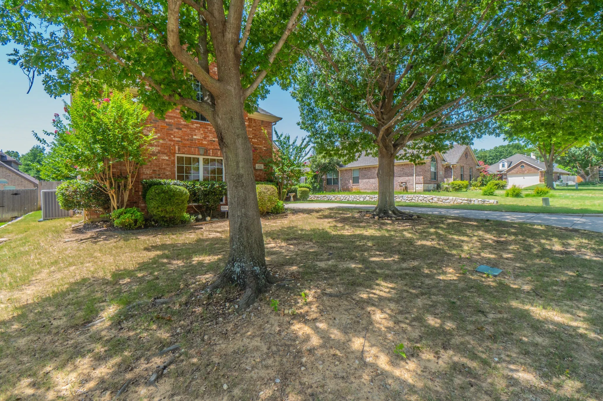 Front Yard