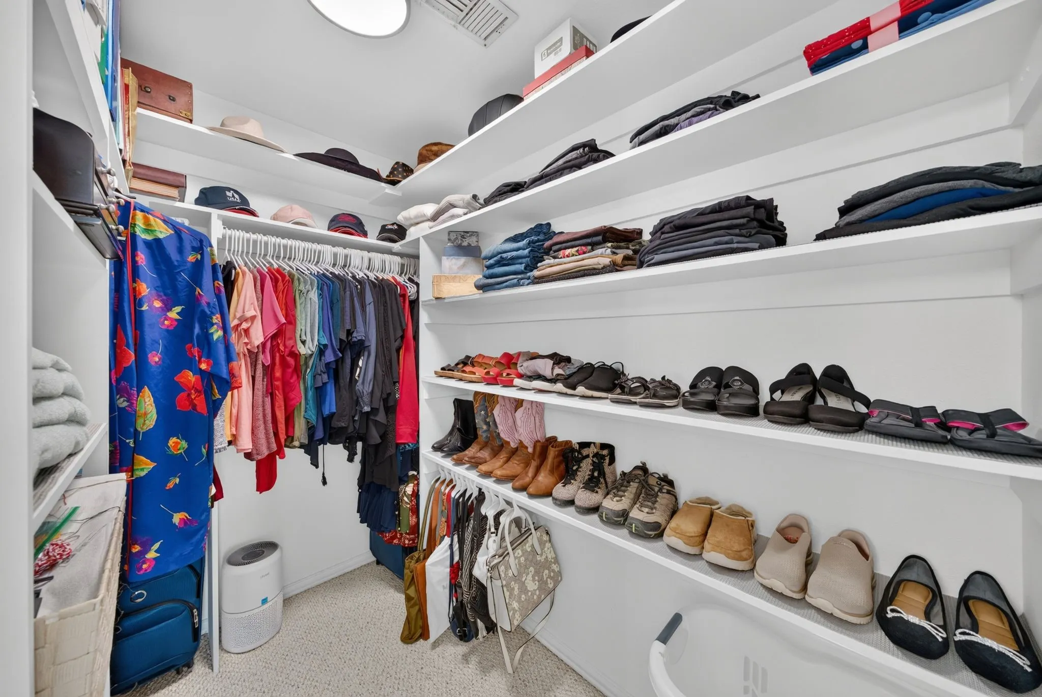 Walk-in closet featuring extensive white shelving, multiple hanging rods, recessed ceiling lighting, and carpet flooring