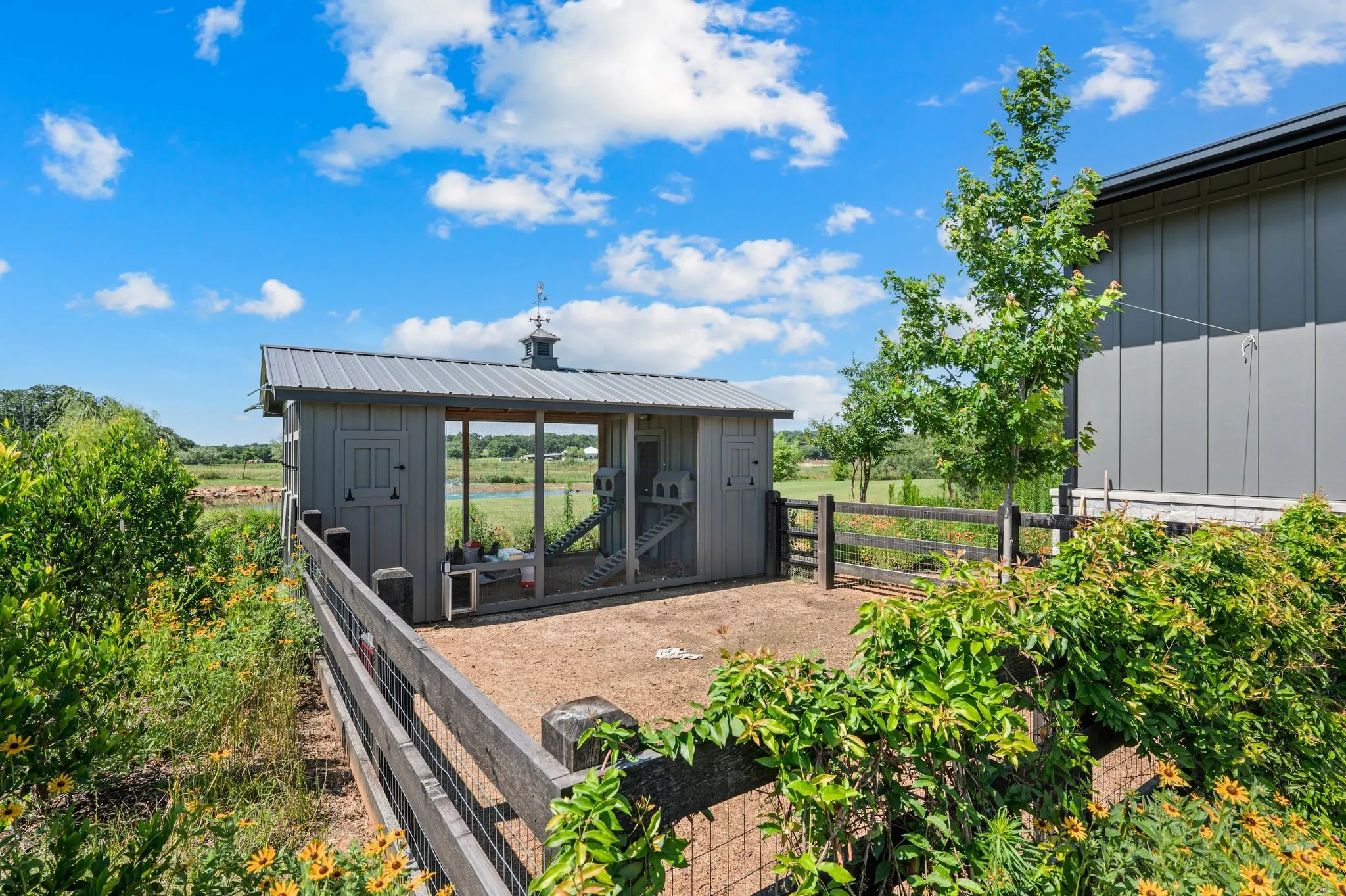 Charming chicken coop
